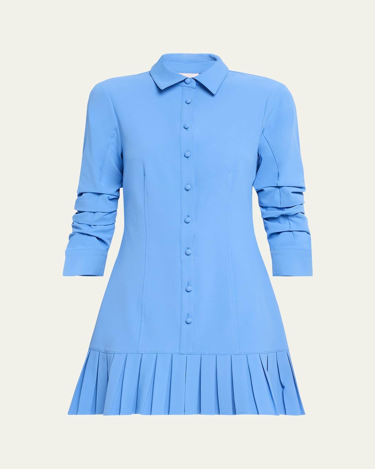 Womens Lucilla Minidress Product Image