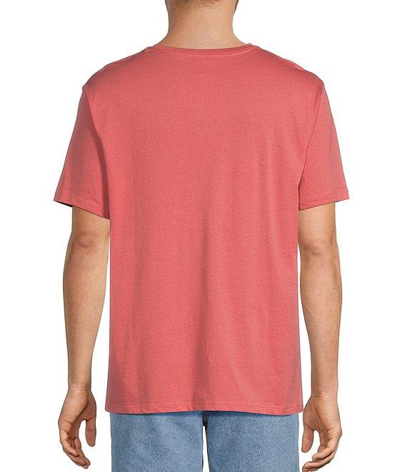 Roundtree & Yorke Big & Tall Solid Cloud Short Sleeve V-Neck T-Shirt Product Image
