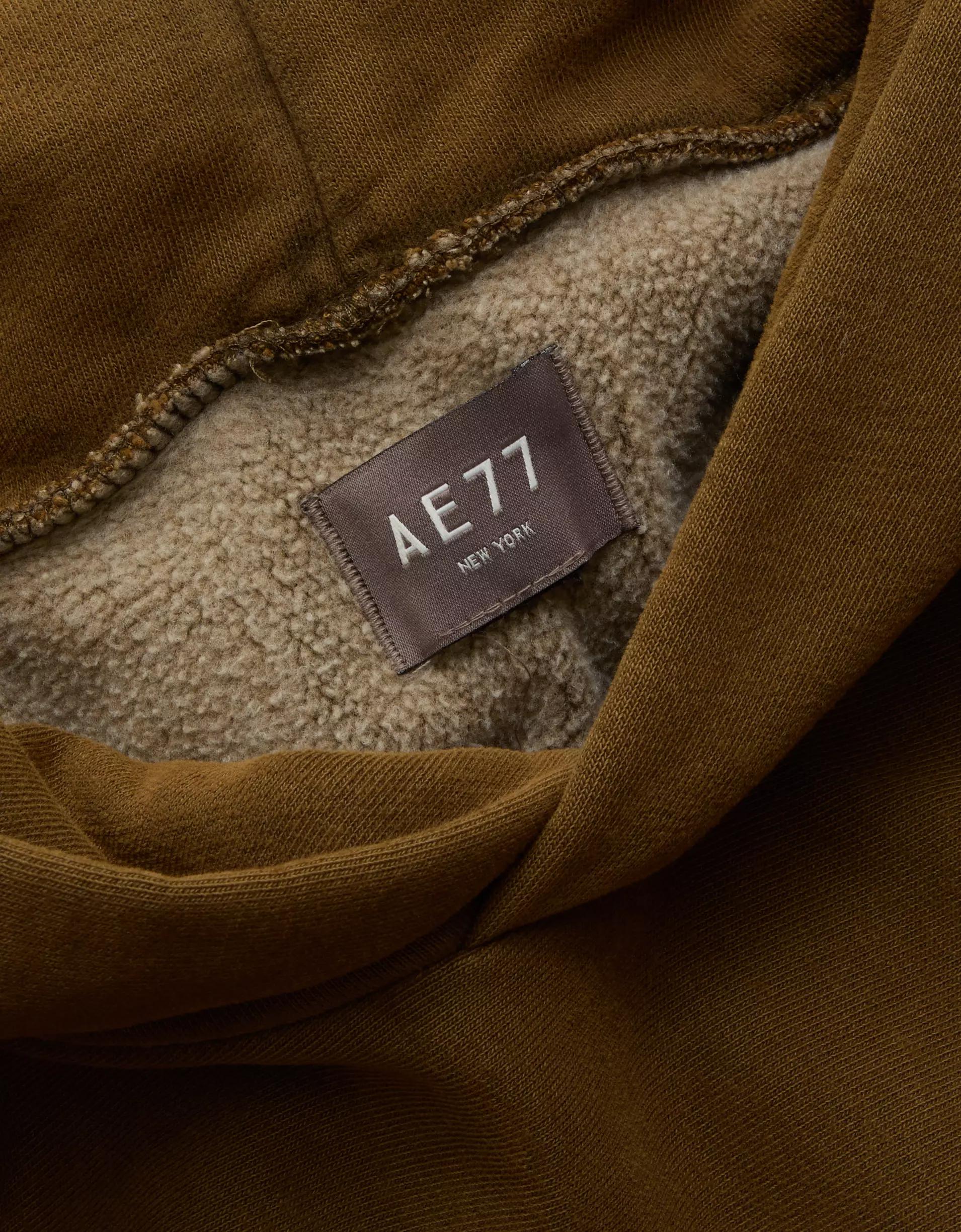 AE77 Premium Cropped Hoodie Product Image