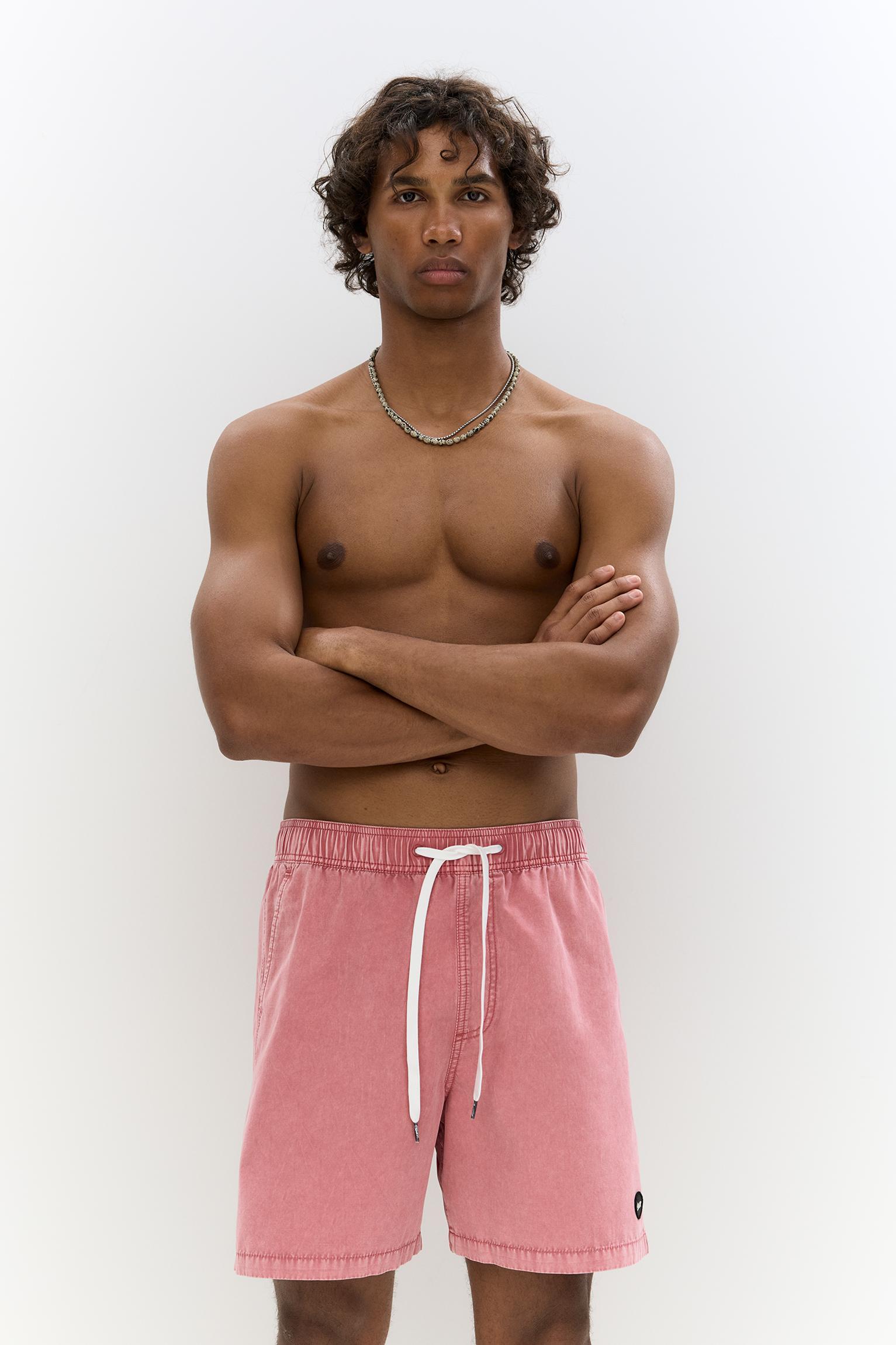 STWD garment-dye board shorts Product Image