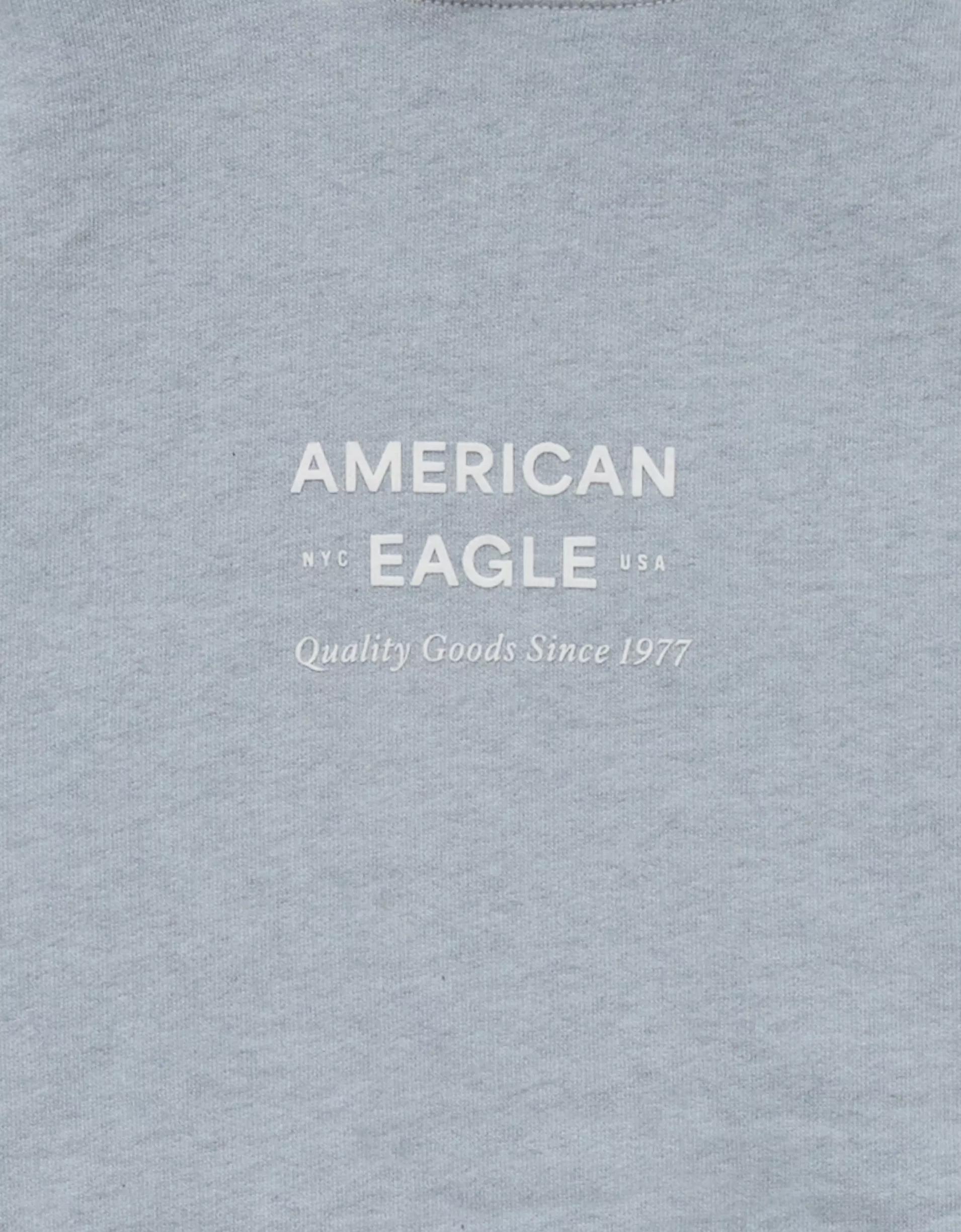 AE Laidback Luxe Heavyweight Logo Hoodie Product Image