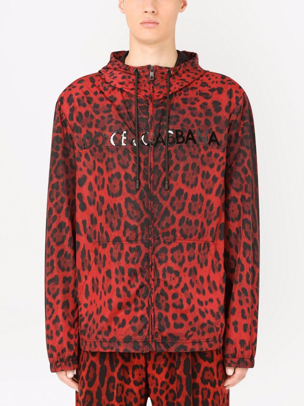 DOLCE & GABBANA Jacket With Animal Print In Multi Product Image