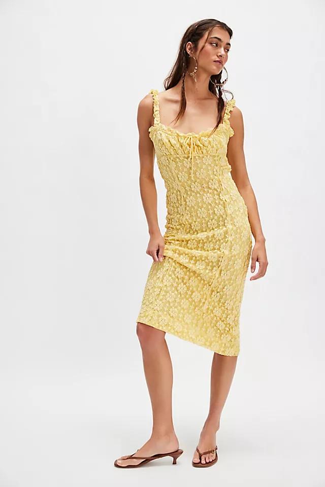 Lucinda Lace Midi Dress Product Image