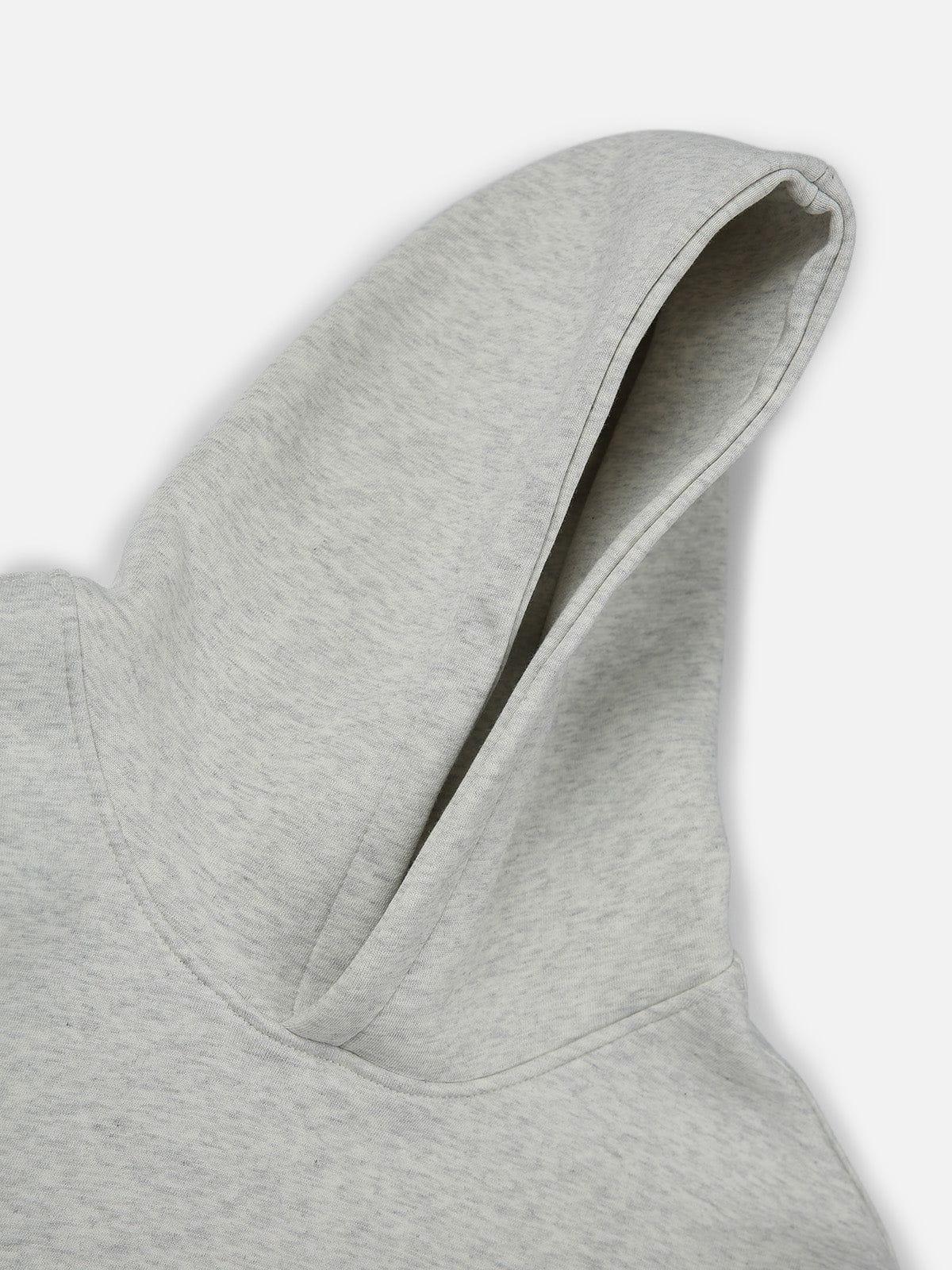 Aelfric Eden Solid Pullover V302 Boxy Hoodie Product Image