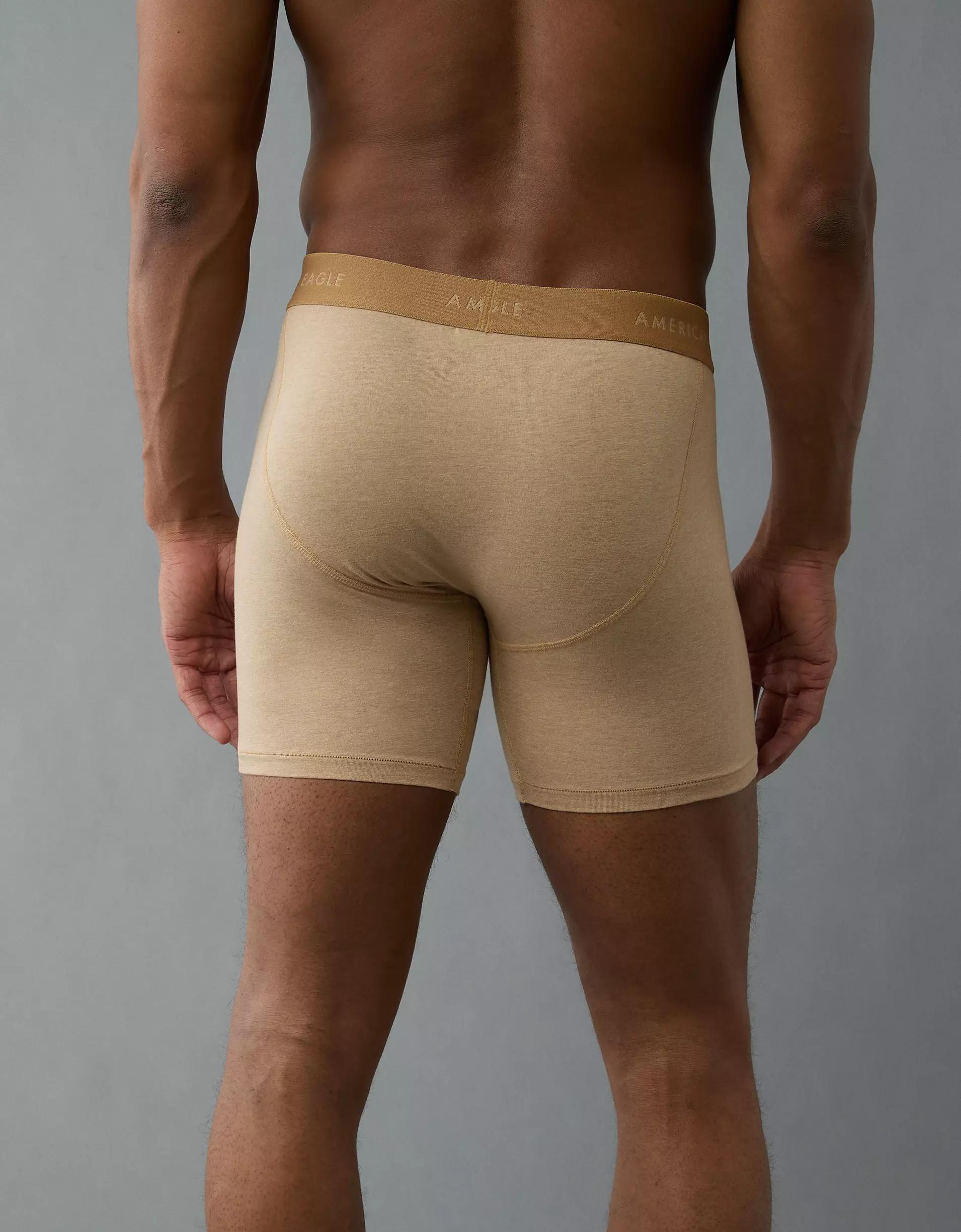 AEO Men's 6" Classic Boxer Brief Product Image