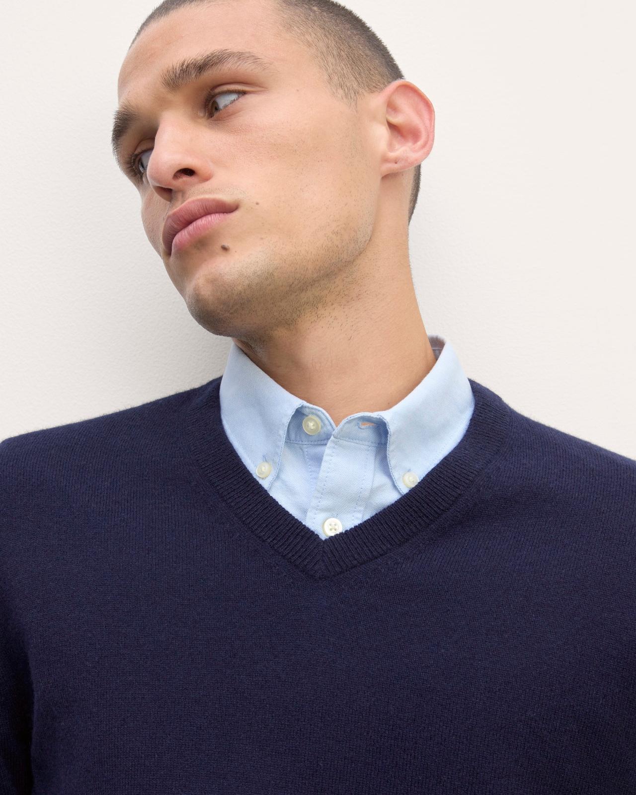 Mens Cashmere V-Neck Sweater by Everlane Product Image
