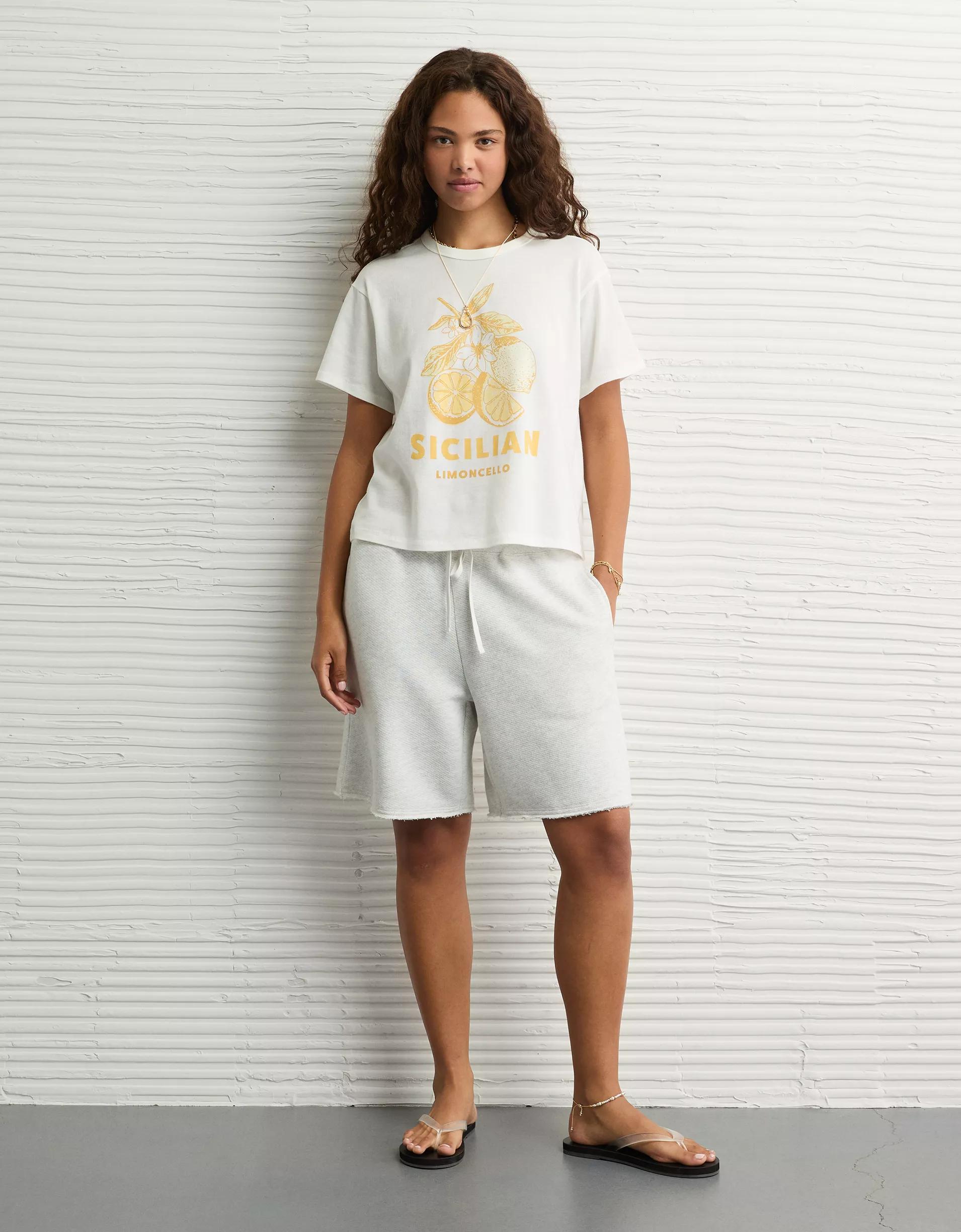 AE Ex-Boyfriend Destination Graphic T-Shirt Product Image