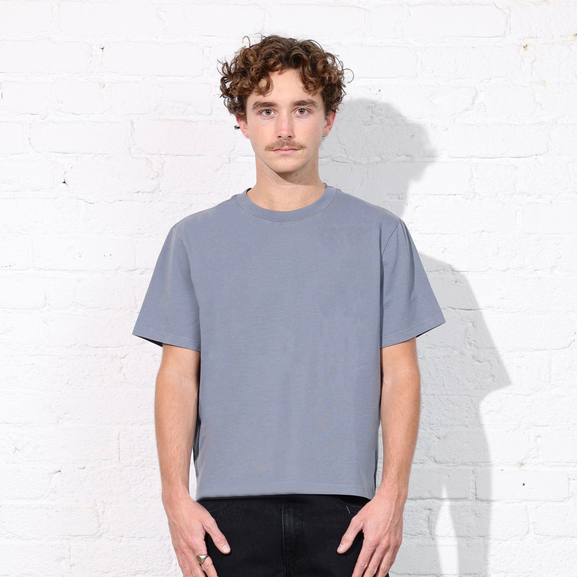 Silverlake Crop Tee II Product Image