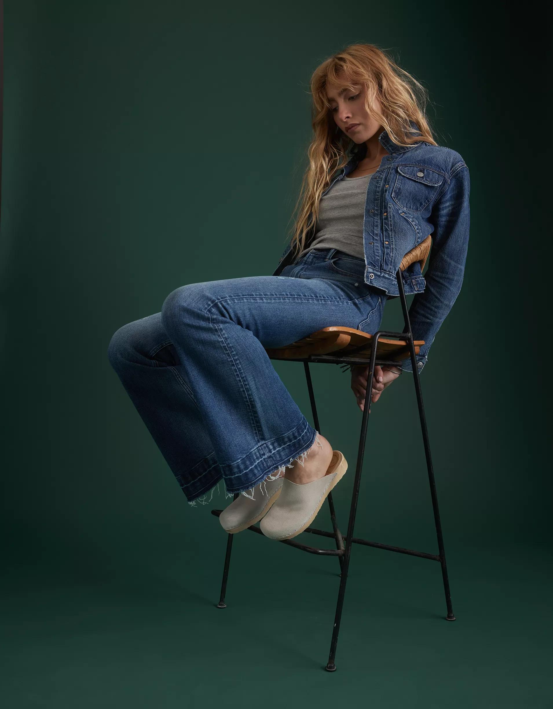 AE77 Premium High-Waisted Flare Jean Product Image