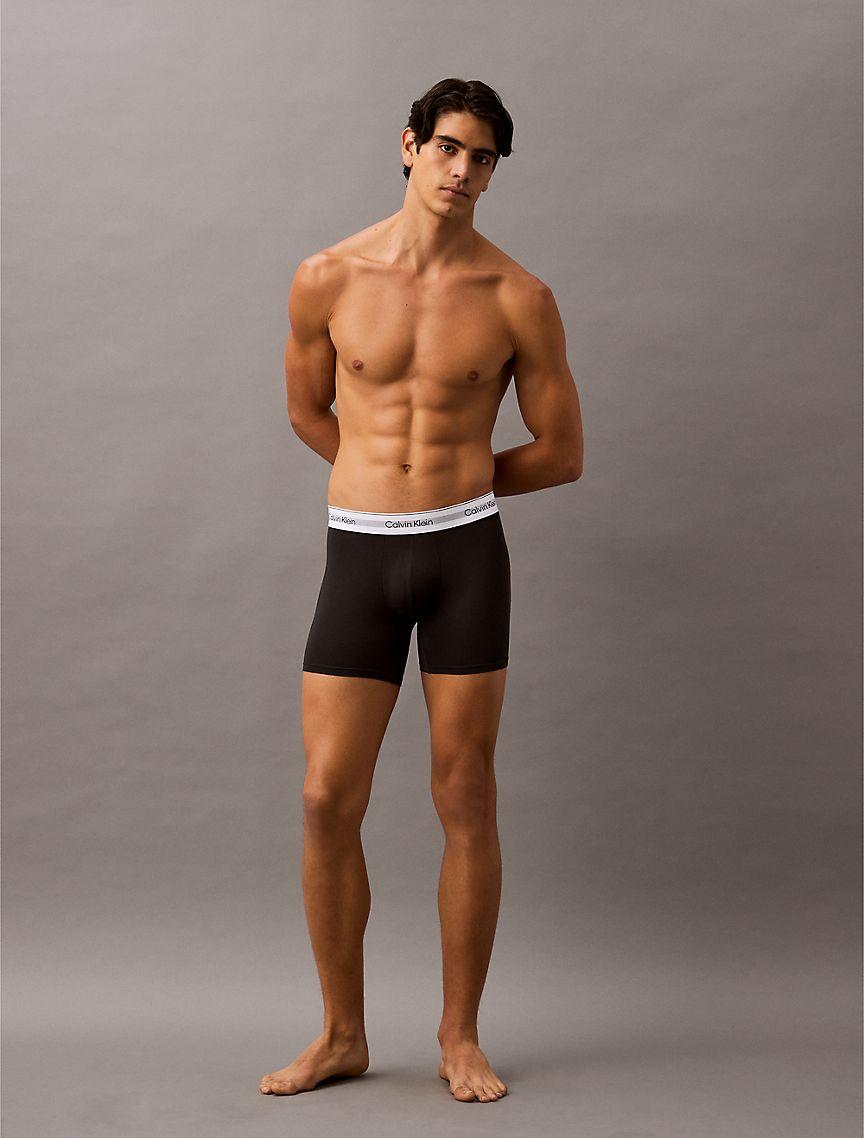 Icon Modal Mesh 3-Pack Boxer Brief Product Image
