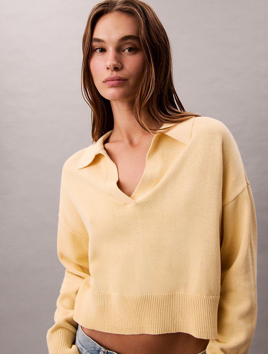 Smooth Cotton Polo Sweater Product Image