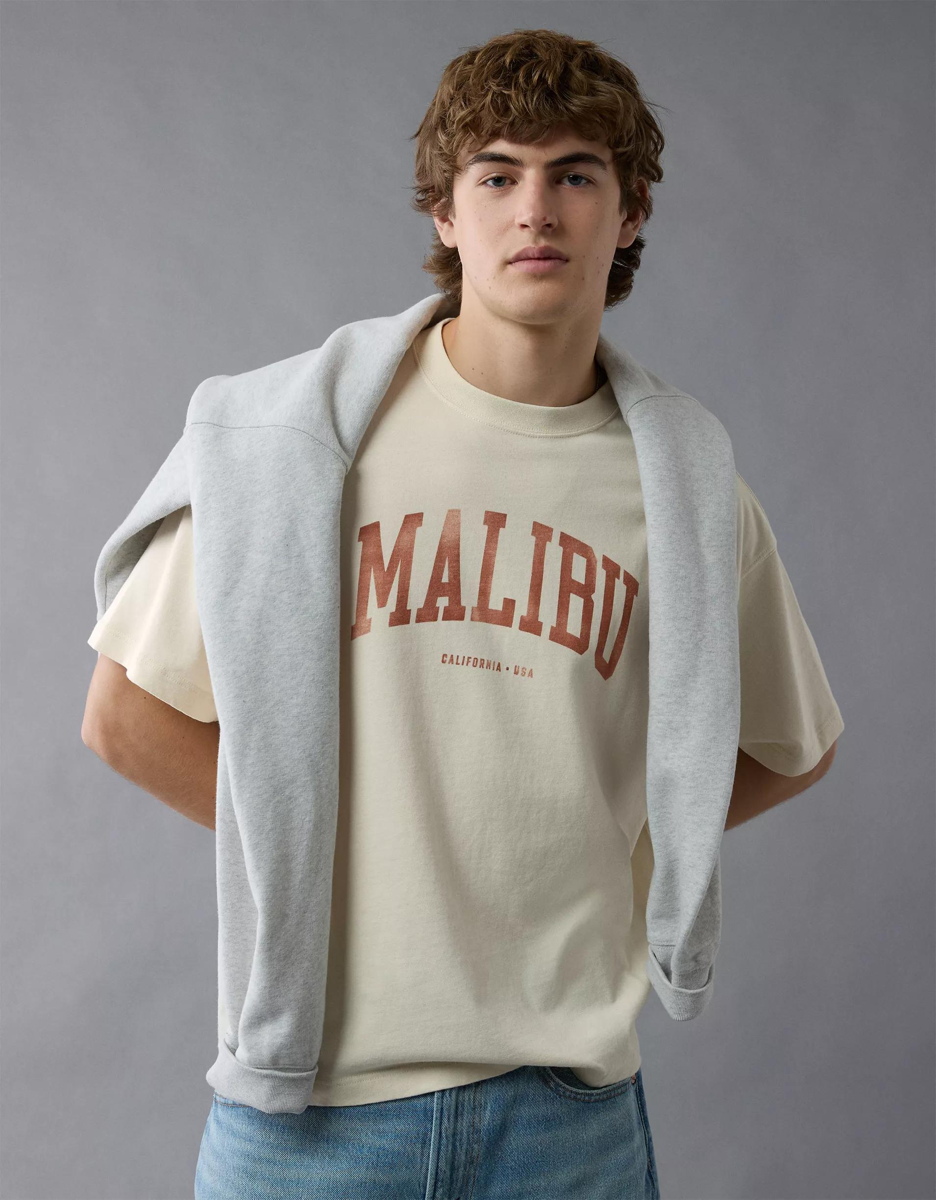 AE Boxy Destination Graphic T-Shirt Product Image