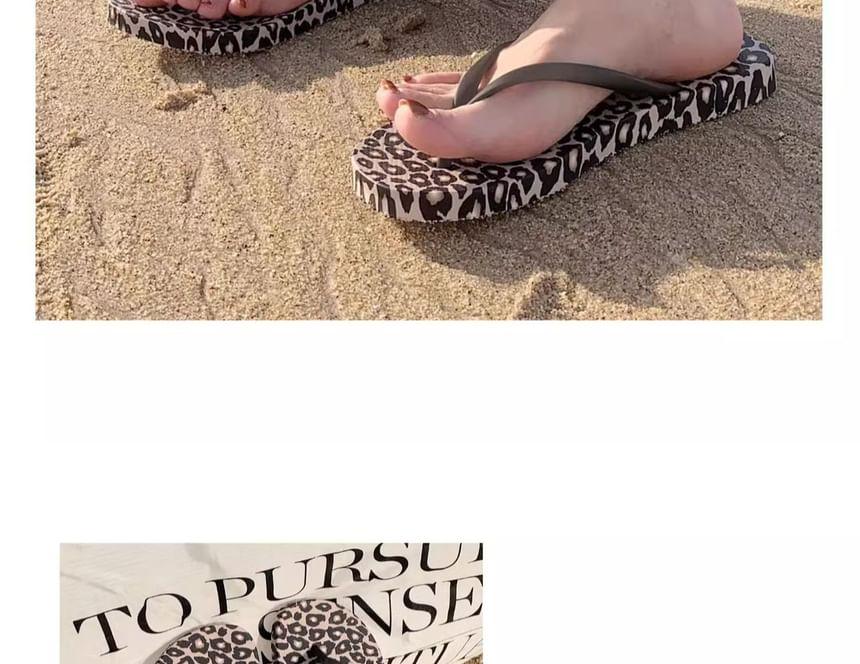 Leopard Print Flip-Flops Product Image
