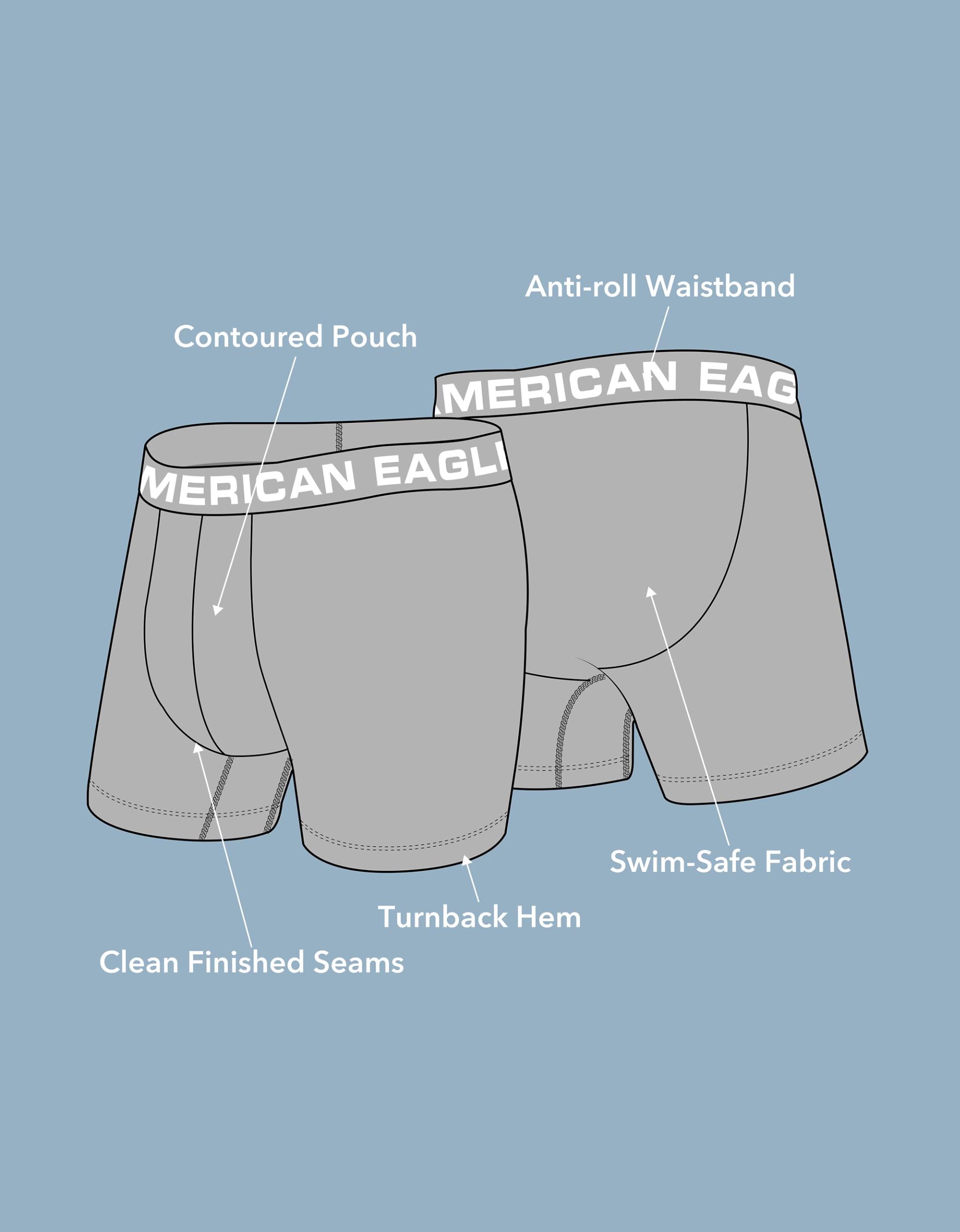 AEO Men's 4.5" Quick Drying Boxer Brief Product Image