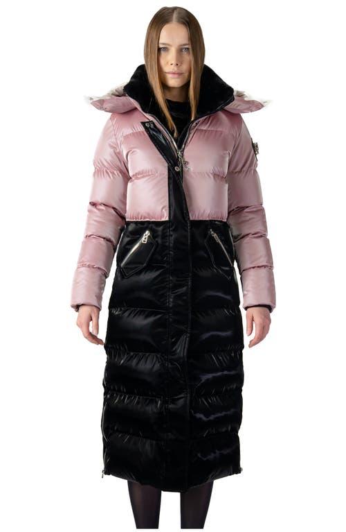 Woodpecker Women's Bird of Paradise Quilted Coat Product Image