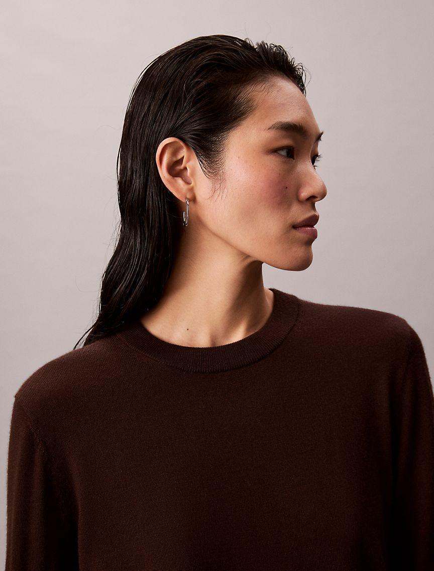 Extra Fine Merino Blend Crewneck Sweater Product Image