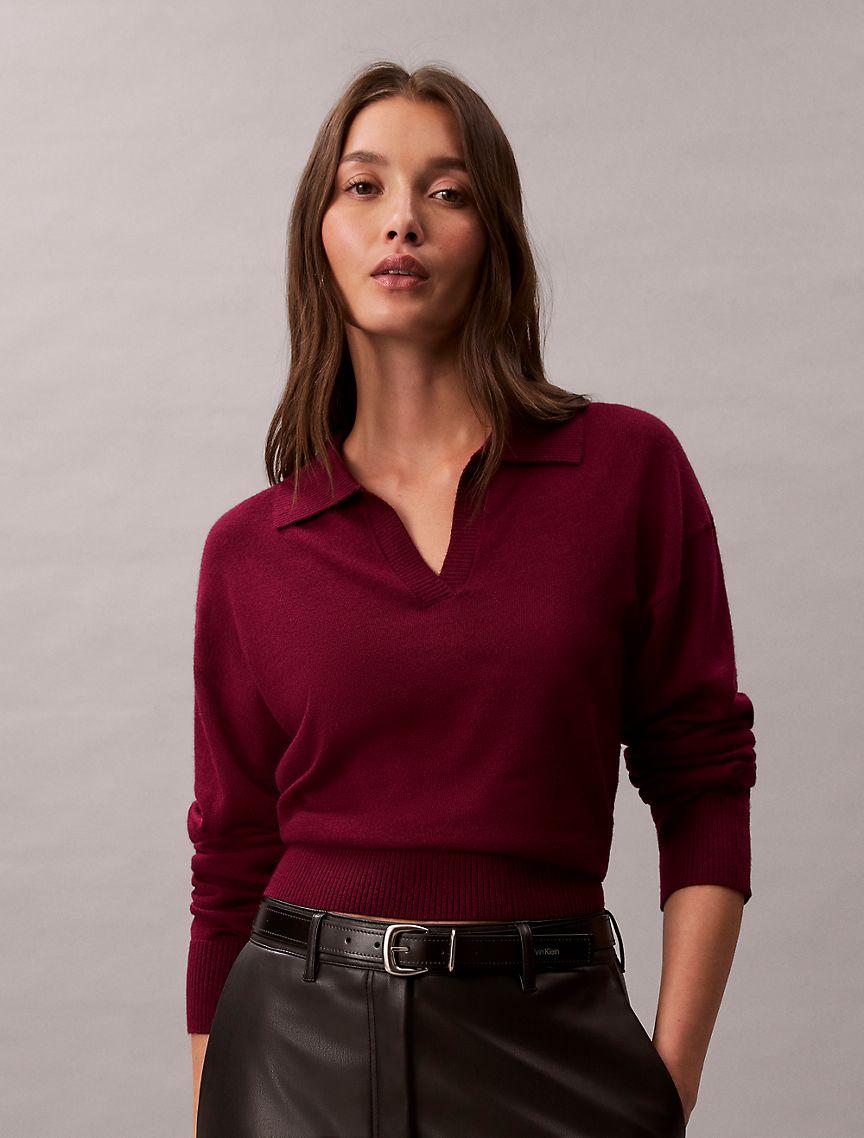 Merino Wool Blend Relaxed Polo Sweater Product Image
