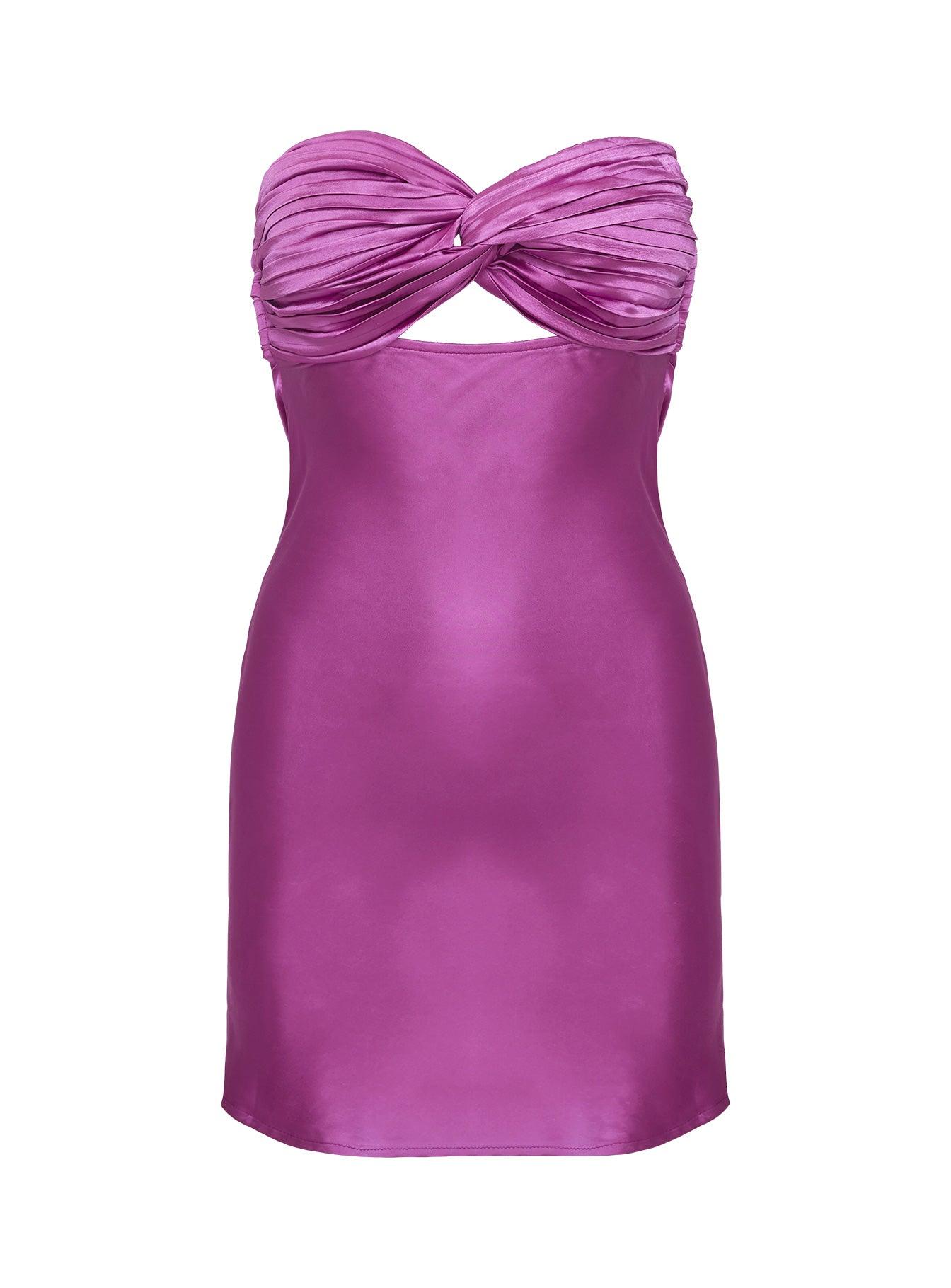 Faviola Mini Dress Purple Product Image