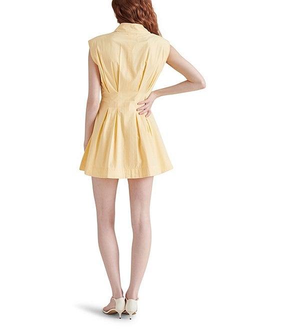 Steve Madden Maisha Point Collar Sleeveless Button Front Poplin Mini Dress Product Image