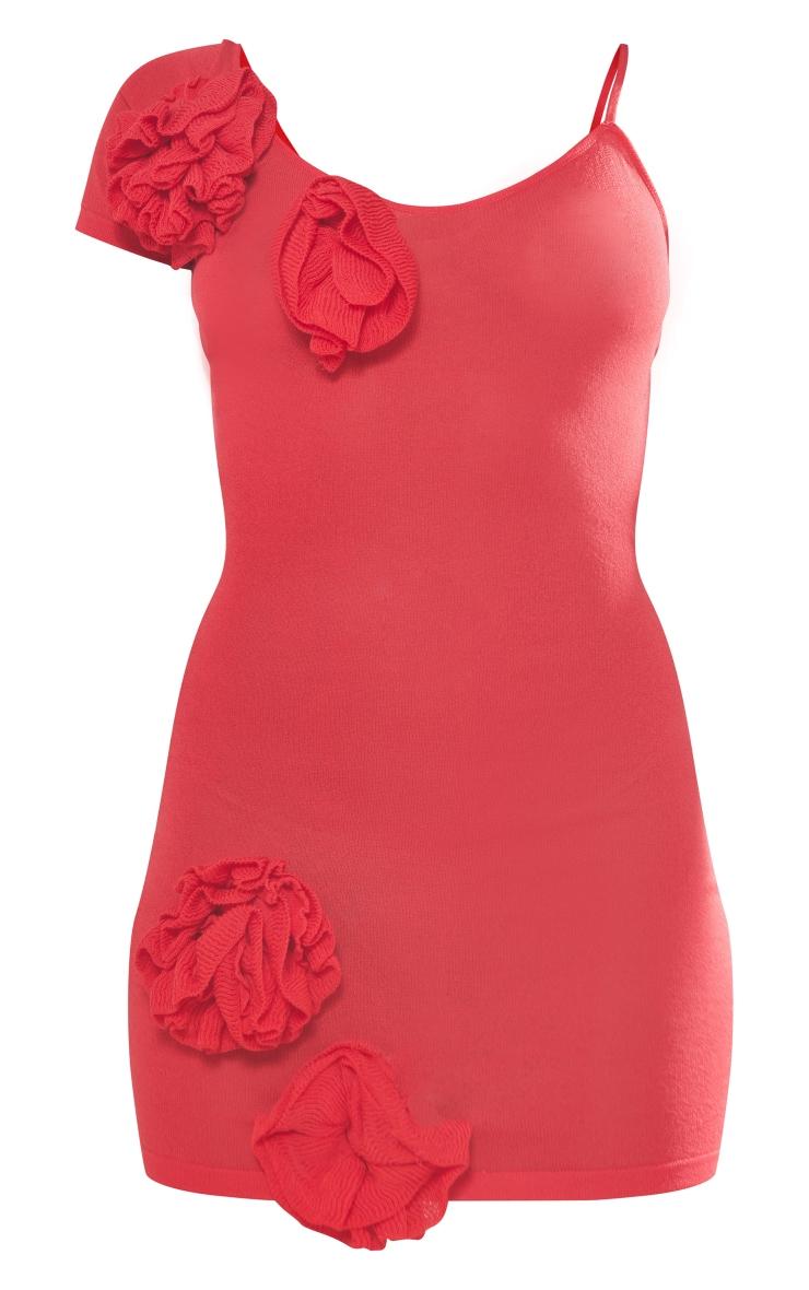 Red Sheer Knit Flower Embellished Dress Product Image