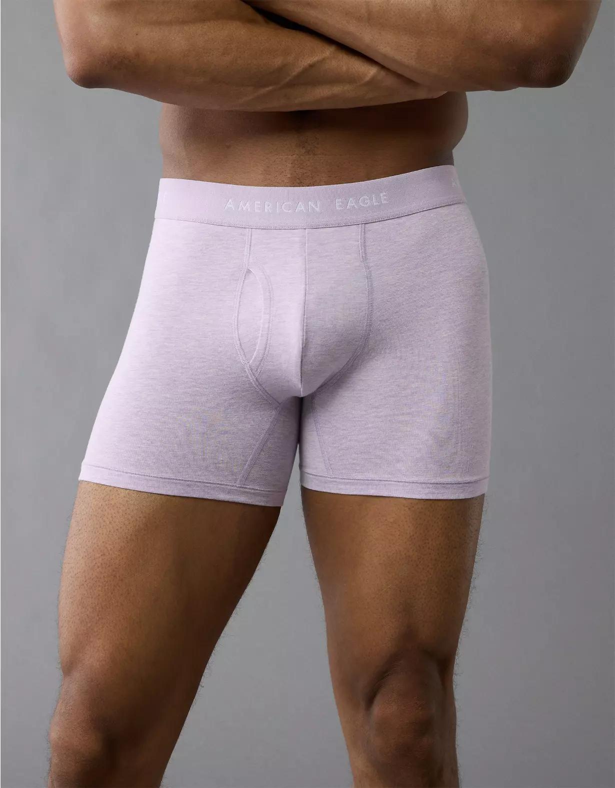 AEO Men's 4.5" Classic Boxer Brief Product Image