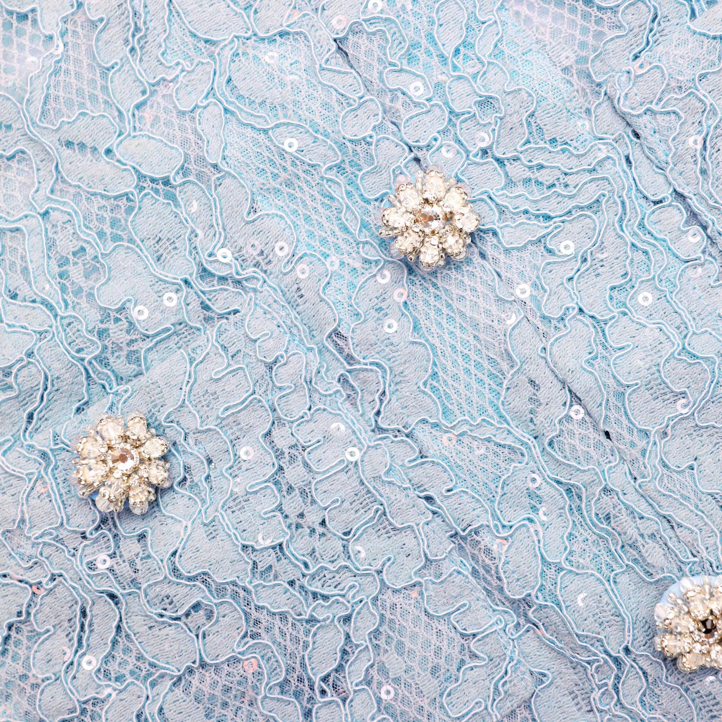 Blue Lace Embellished Top Product Image