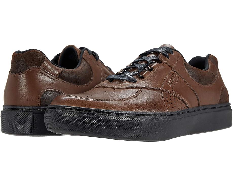 Venture Lace Up Comfort Sneaker Product Image