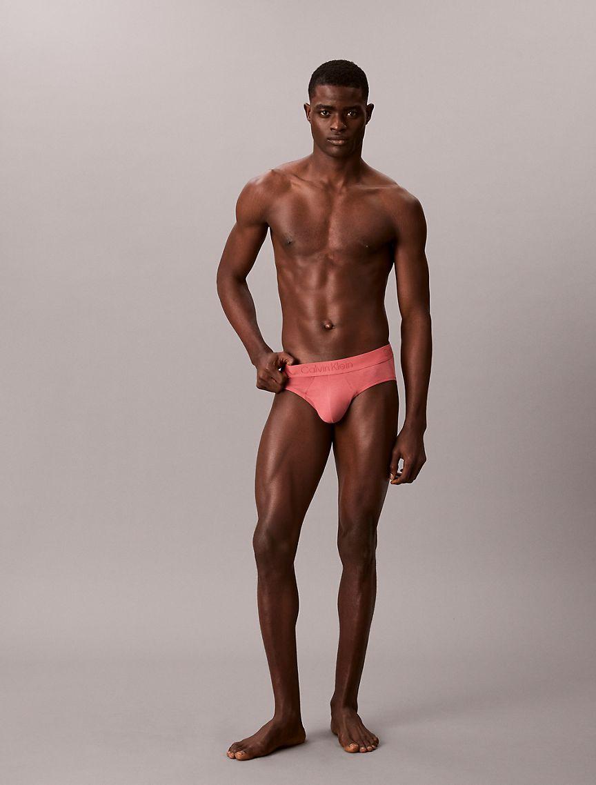 Ultra Soft Modal Hip Brief Product Image