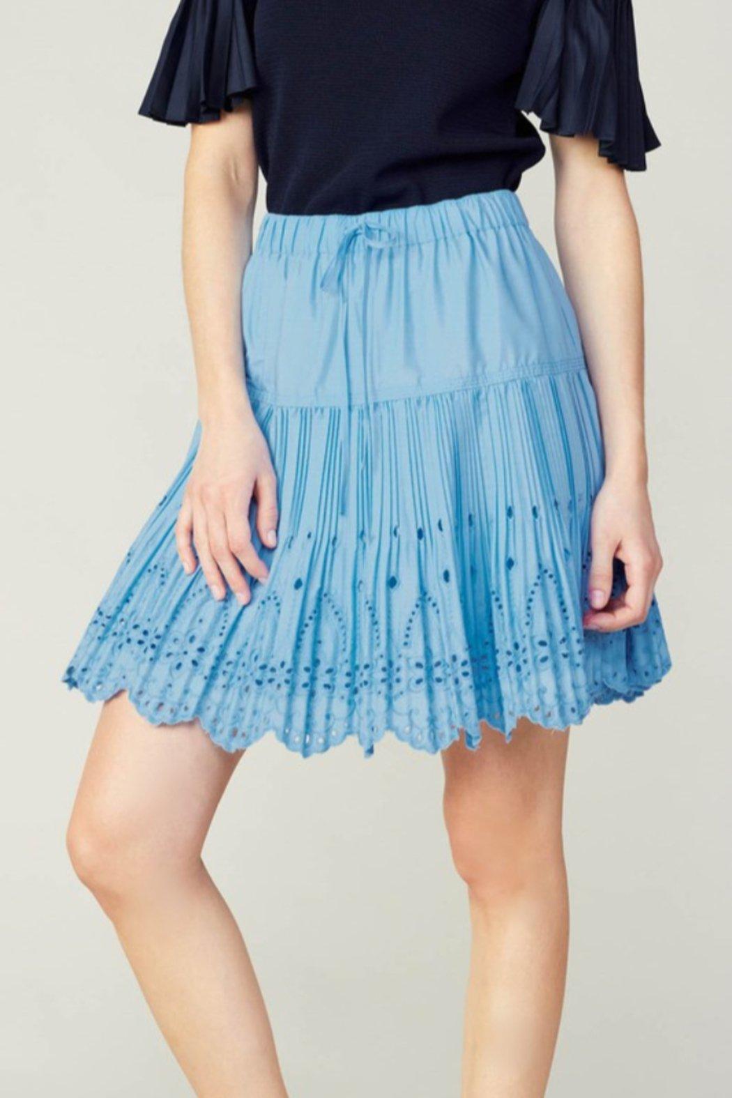 Pleated Embroidery Detailed Mini Skirt Product Image