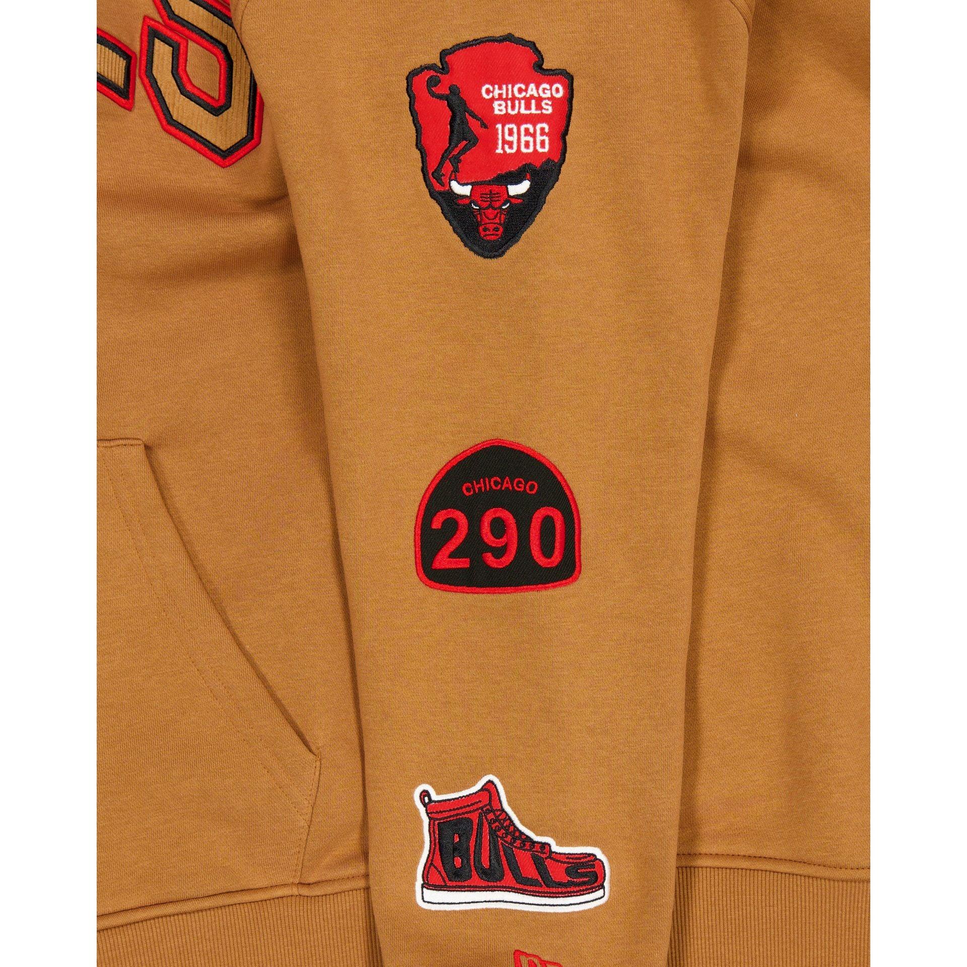 Chicago Bulls 2025 All-Star Game Victory Grove Light Bronze Hoodie Male Product Image