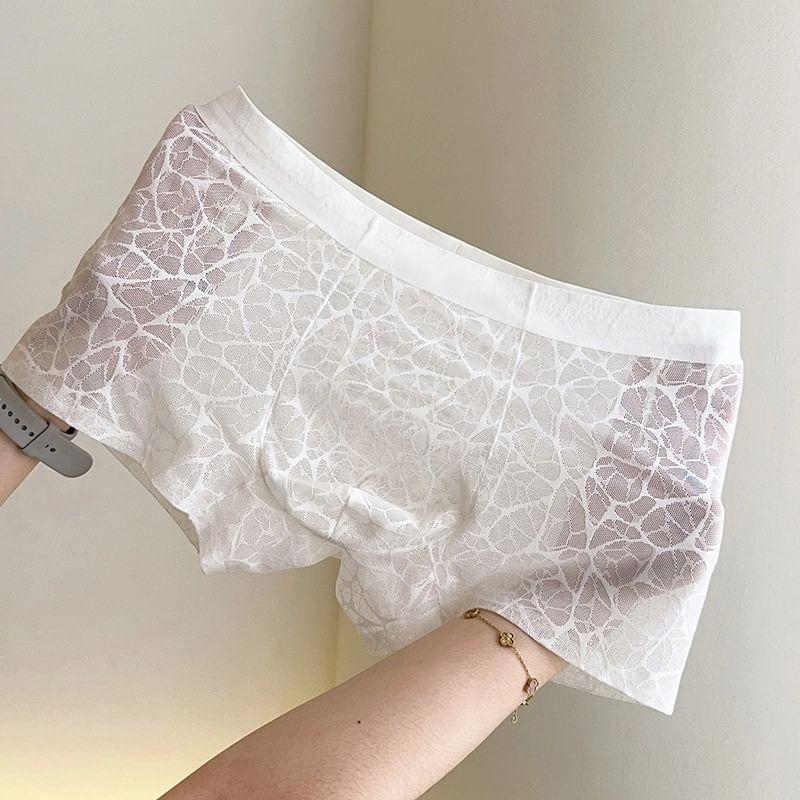 Lace Boxer Brief / Set Product Image