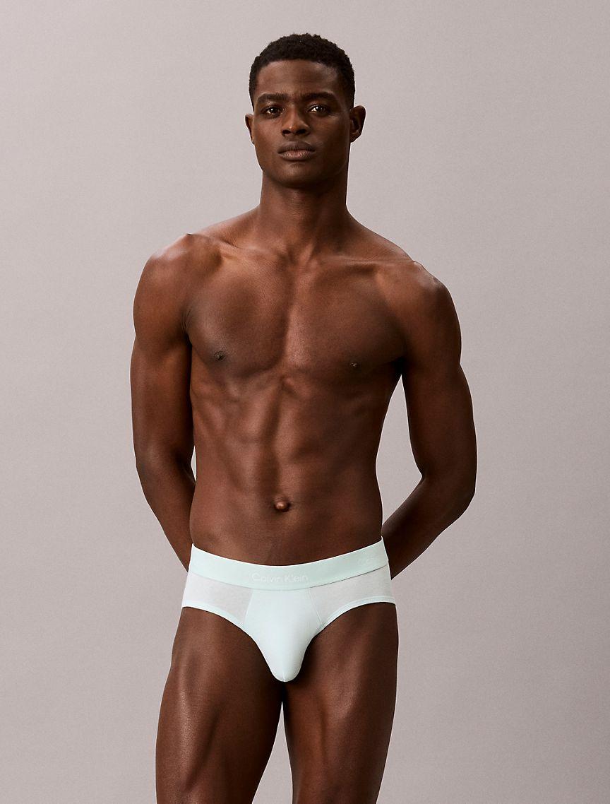 Icon Cotton Stretch 3-Pack Hip Brief Product Image