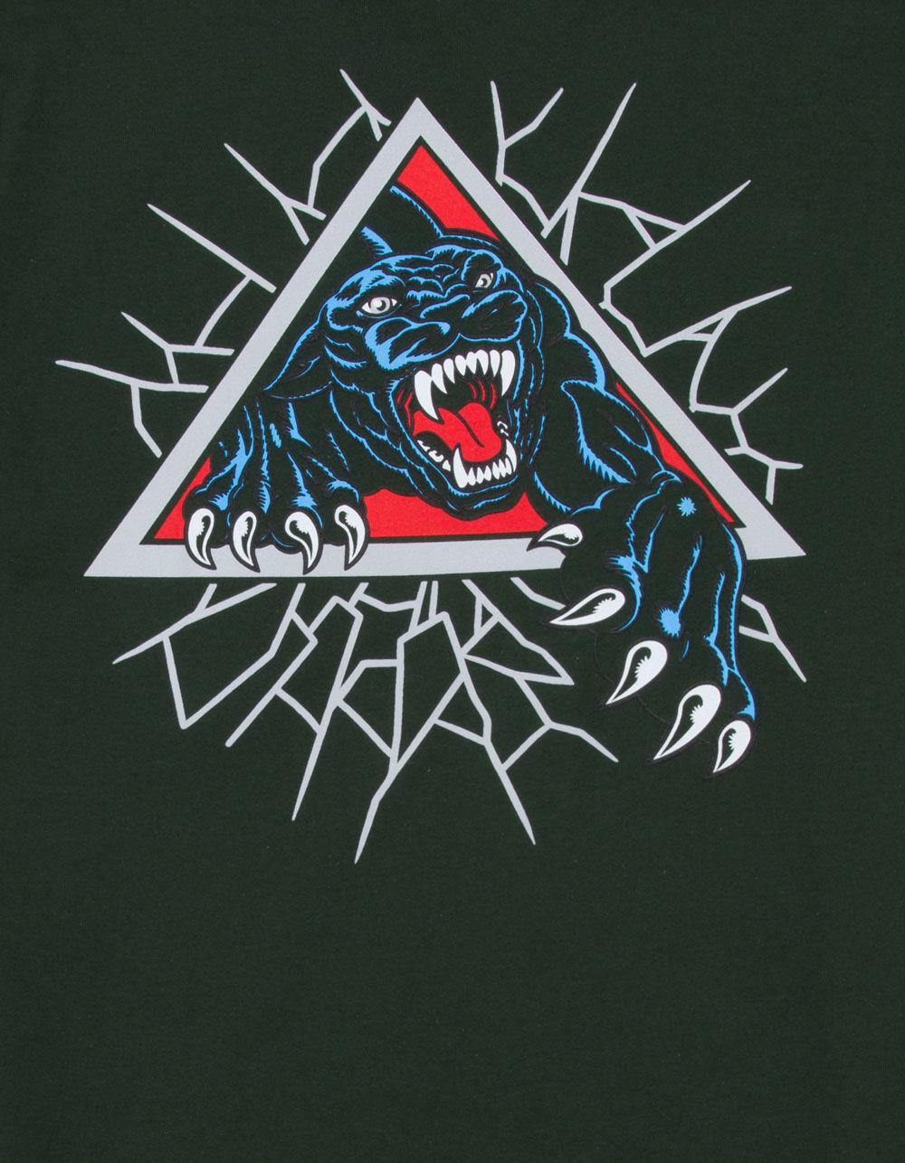 SANTA CRUZ Natas Panther Mens Tee - FOREST Product Image