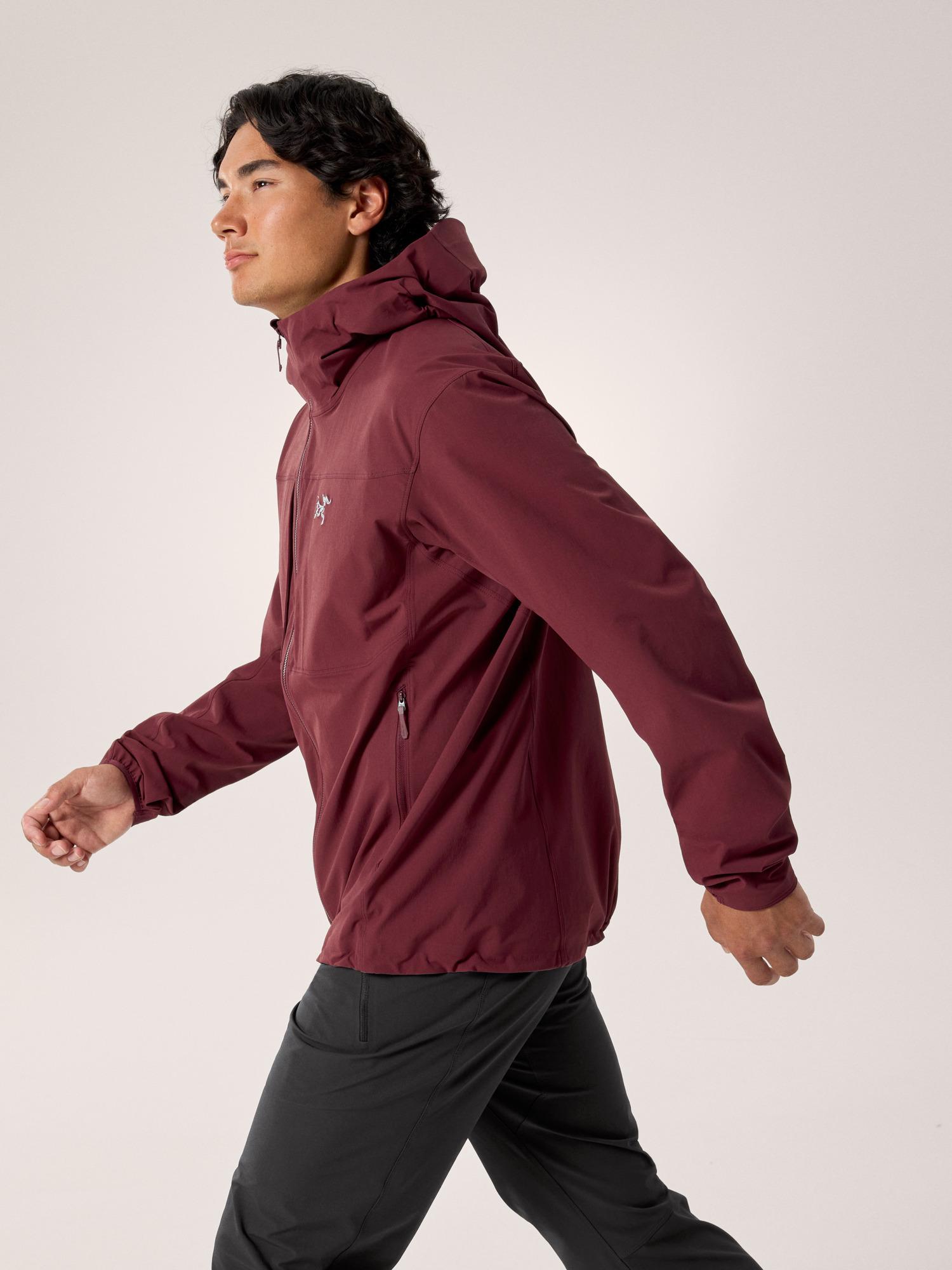 Gamma Hoody Men's Product Image