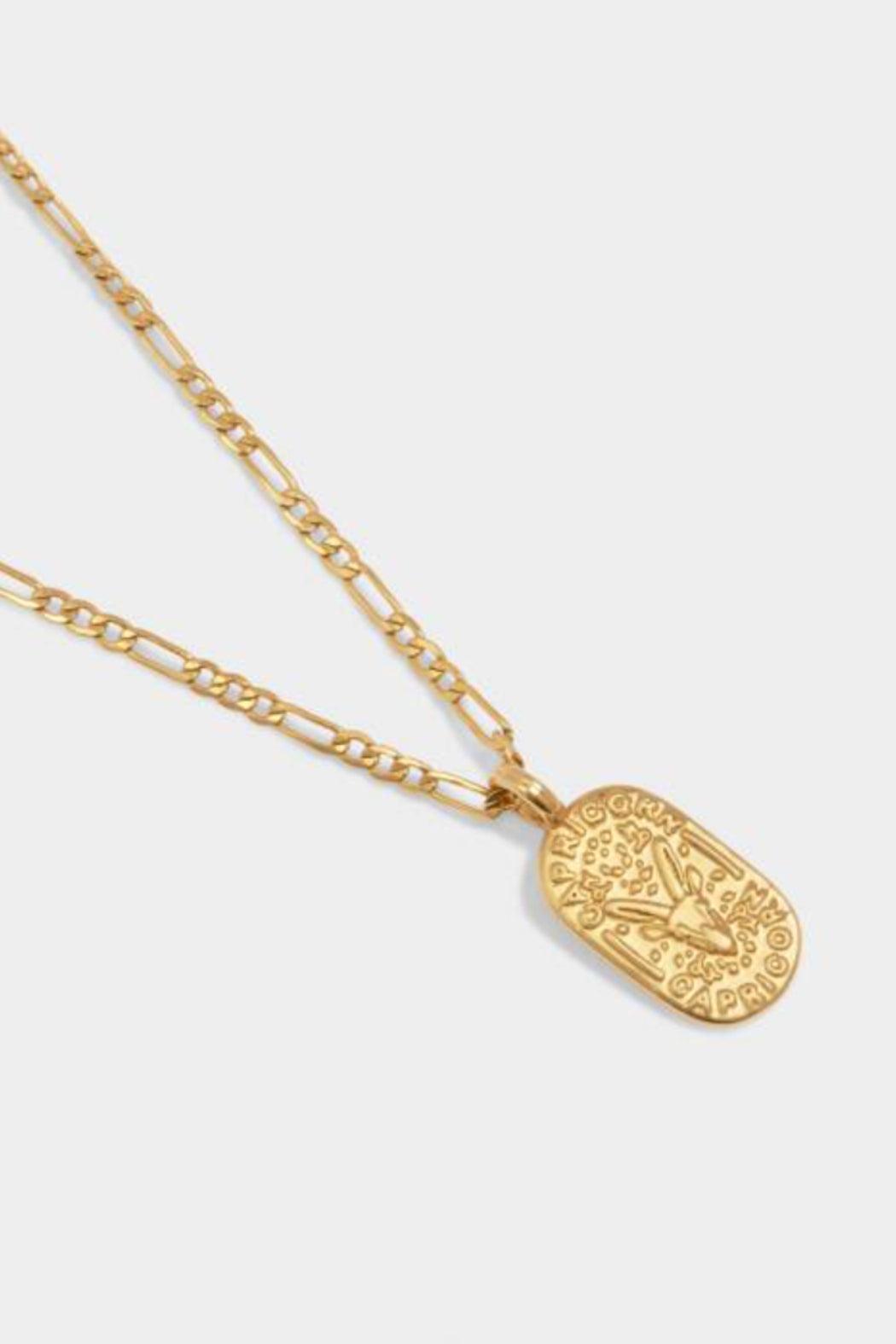 ZODIAC NECKLACE | CAPRICORN Product Image