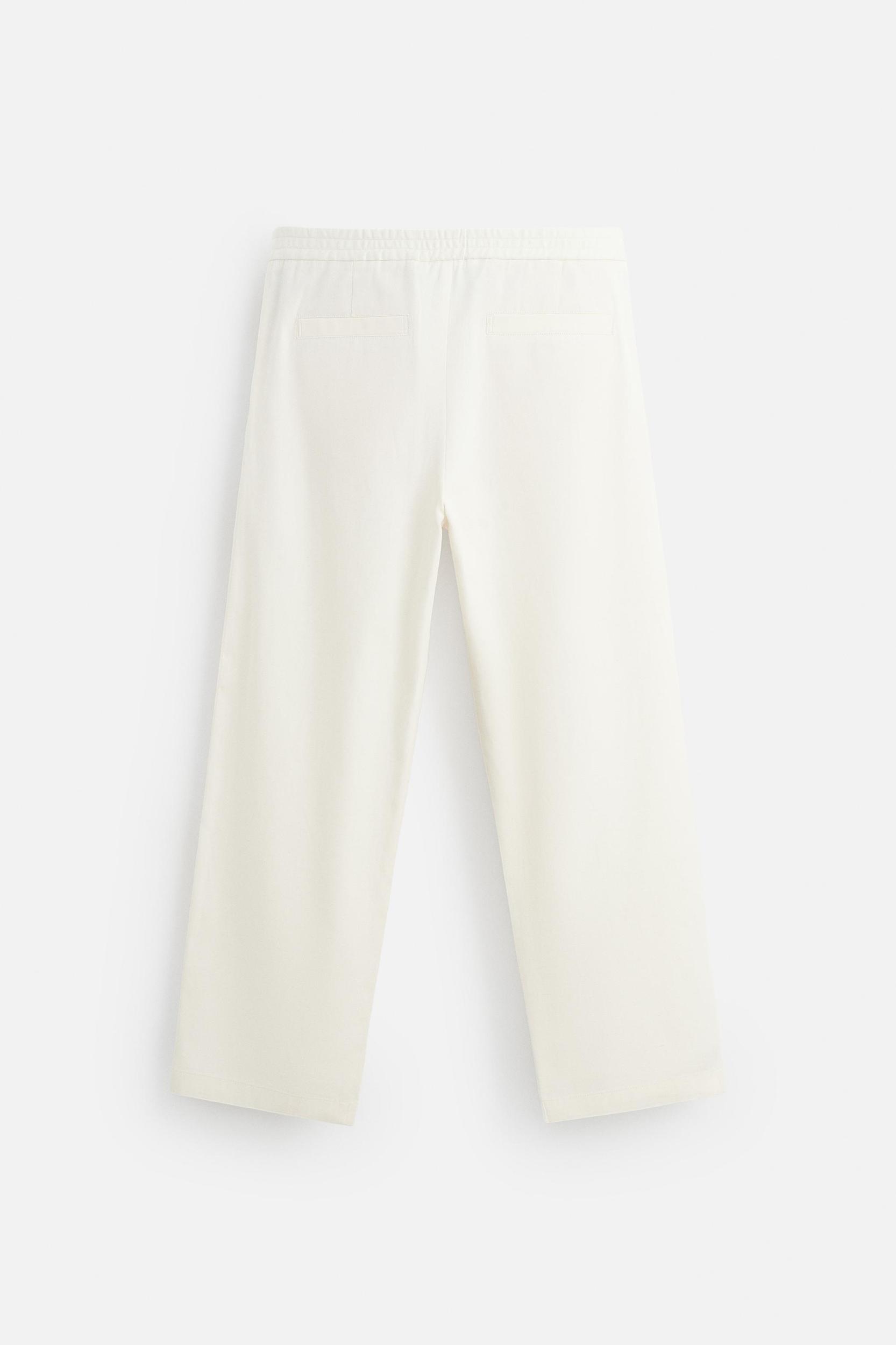 COTTON - LINEN PLEATED PANTS Product Image