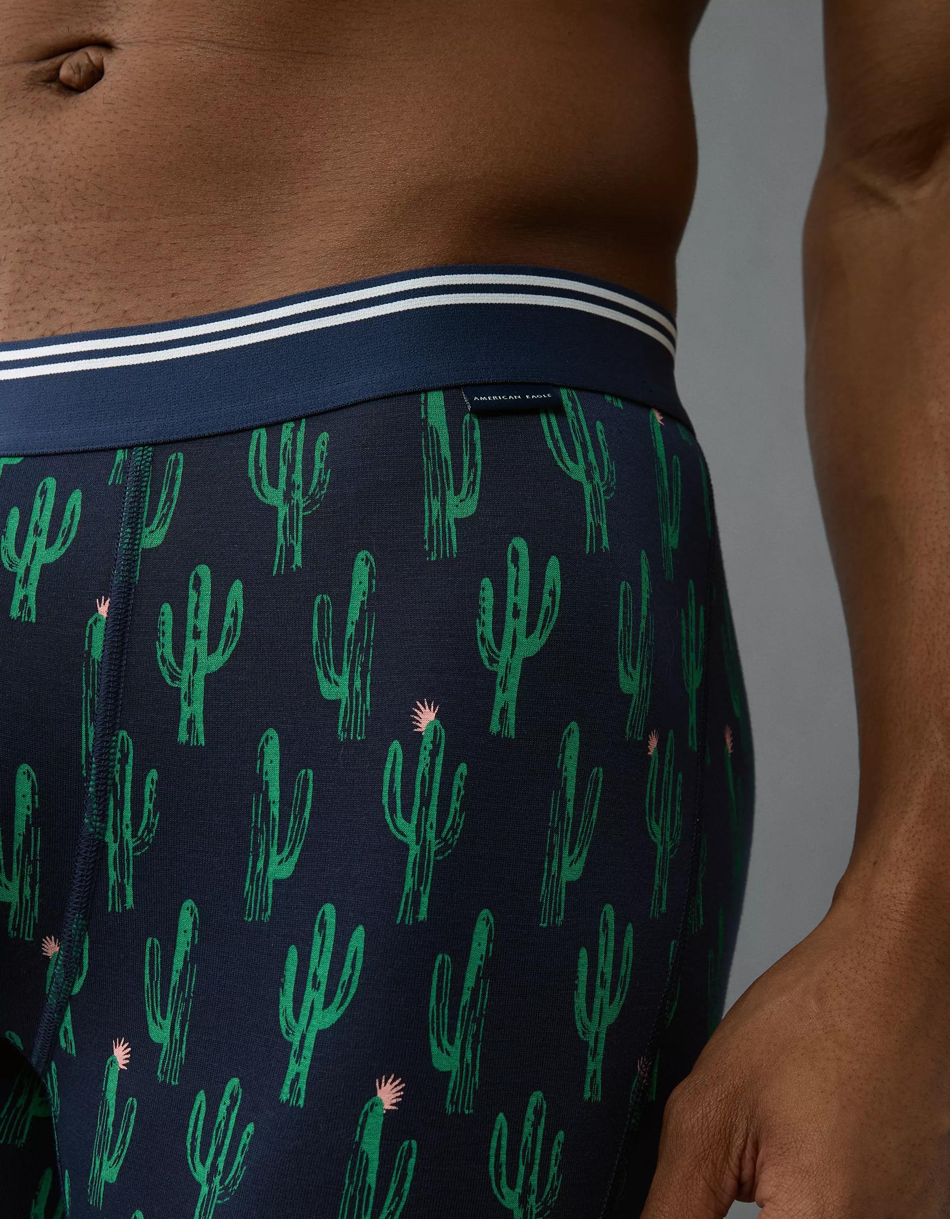 AEO Men's Cacti 4.5" Ultra Soft Boxer Brief Product Image