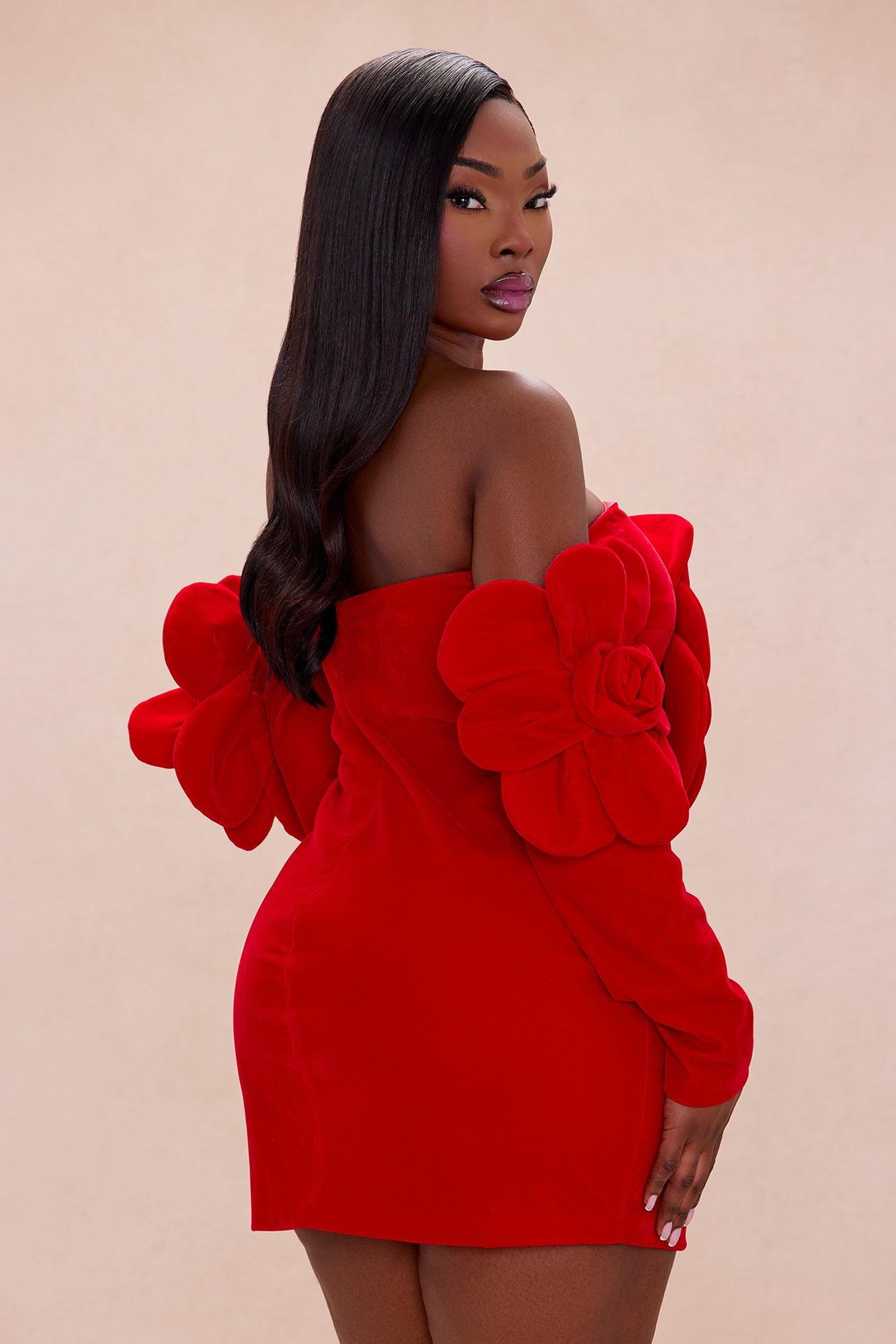 Bianca Floral Applique Velvet Mini Dress - Red Female Product Image