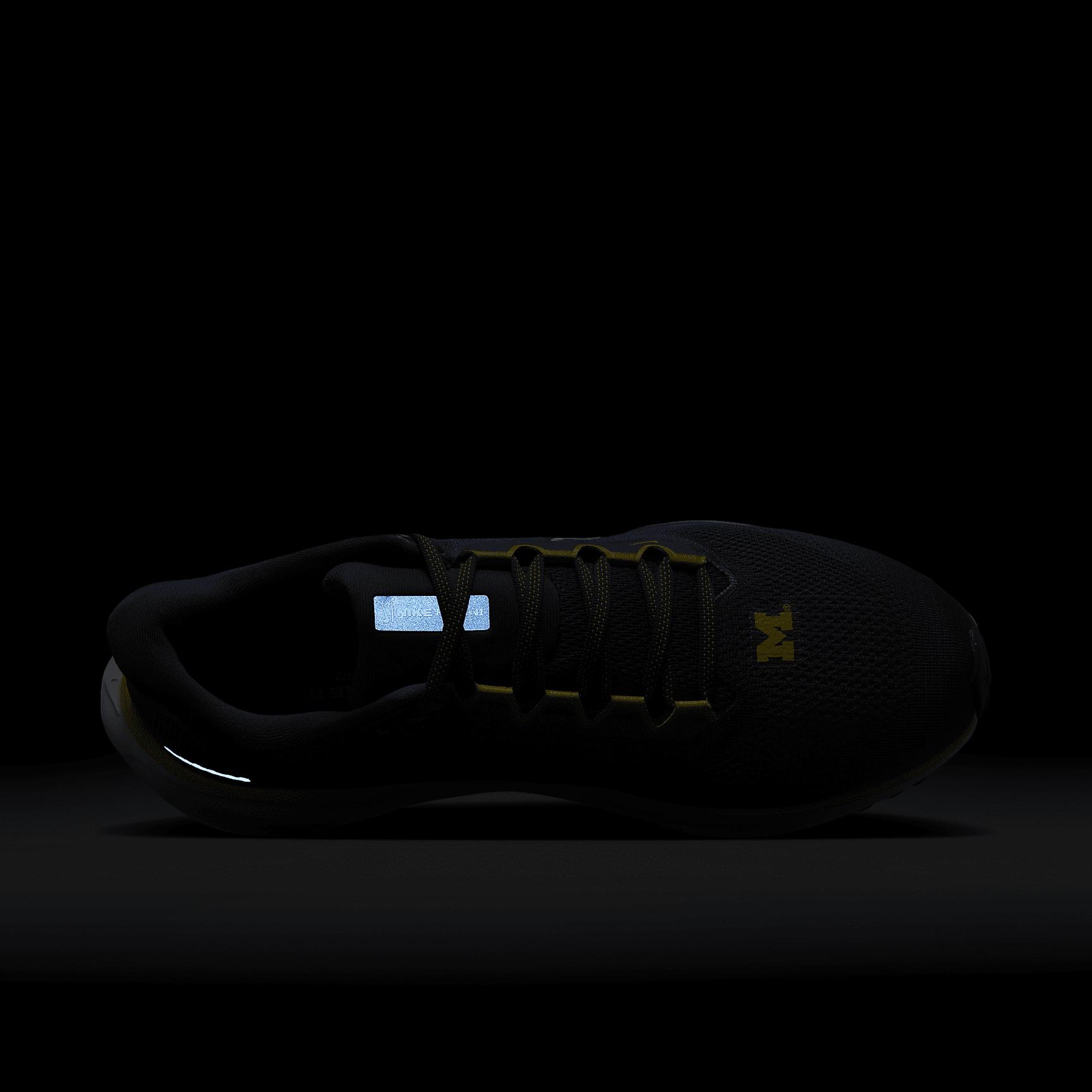 Michigan Pegasus 41 Nike Men's College Road Running Shoes Product Image