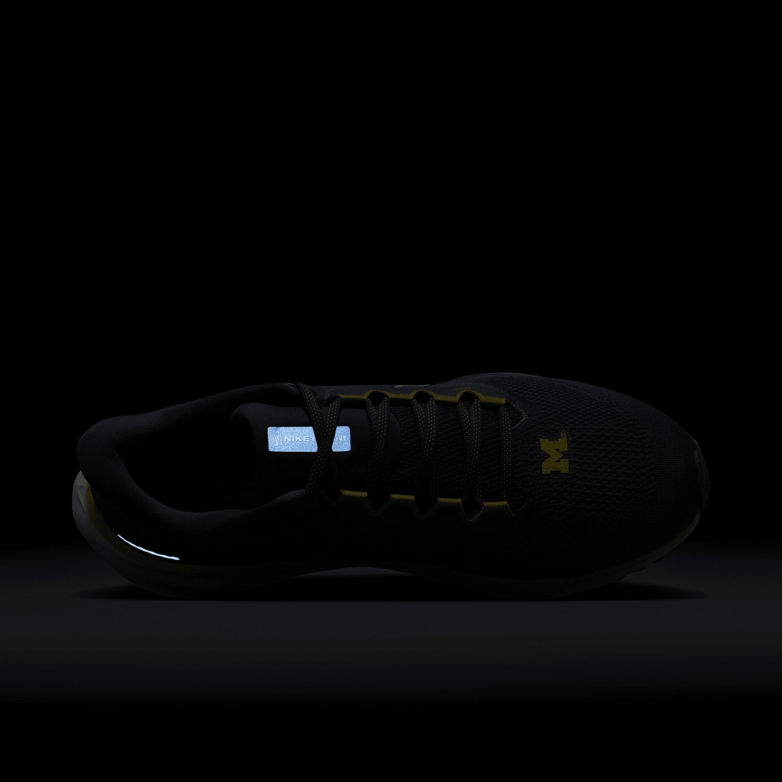 Michigan Pegasus 41 Nike Men's College Road Running Shoes Product Image