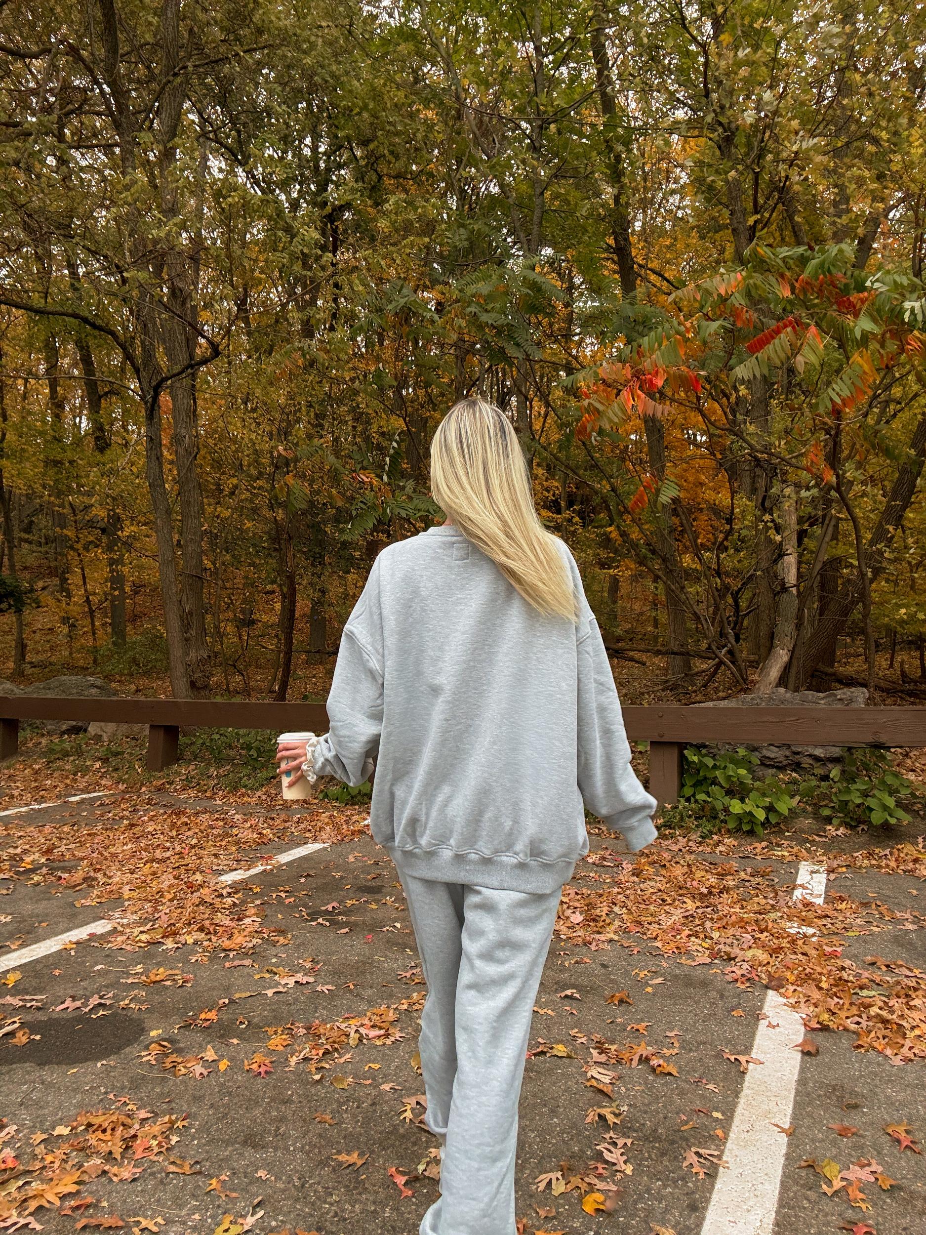 Afternoon Grey Sunkissed Varsity Embroider Sweatshirt Product Image