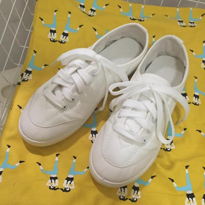 Plain Lace Up Canvas Sneaker Product Image