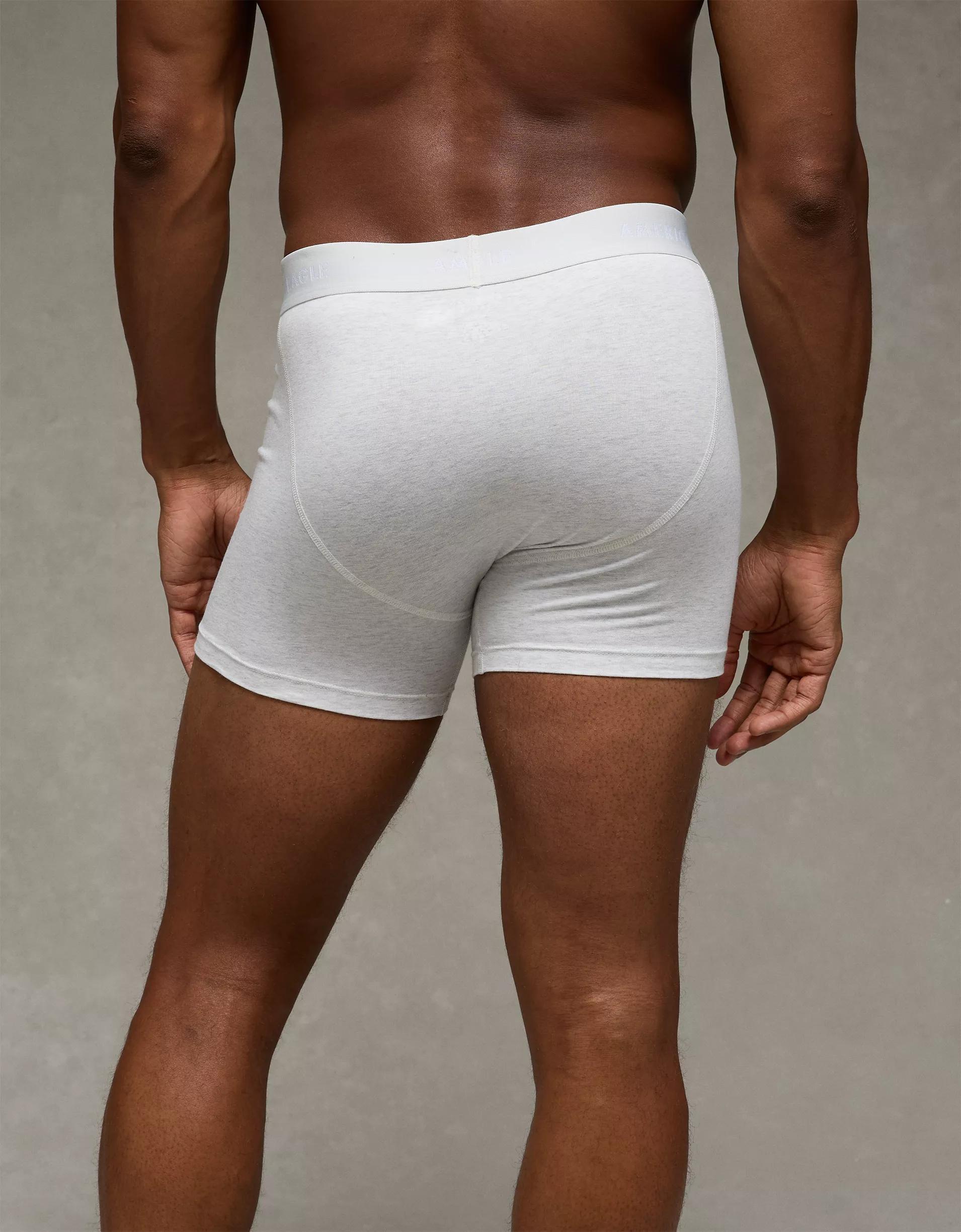 AEO Men's 4.5" Classic Boxer Brief Product Image