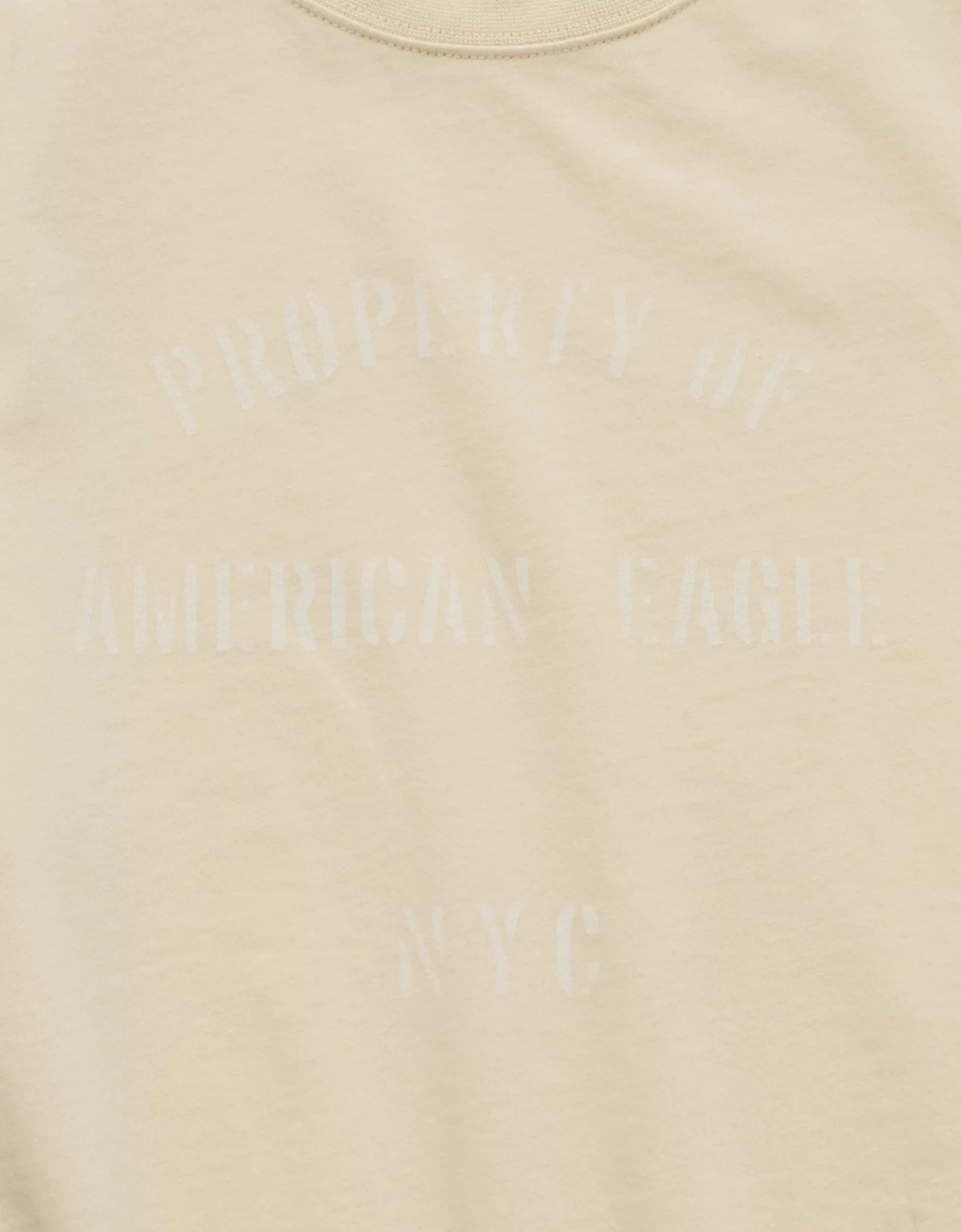 AE Boxy Logo Graphic T-Shirt Product Image