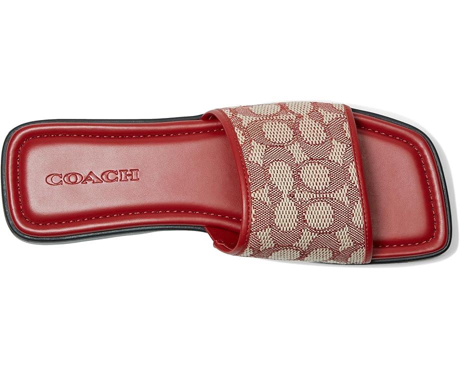 Florence Sandal with Cherry Print Product Image