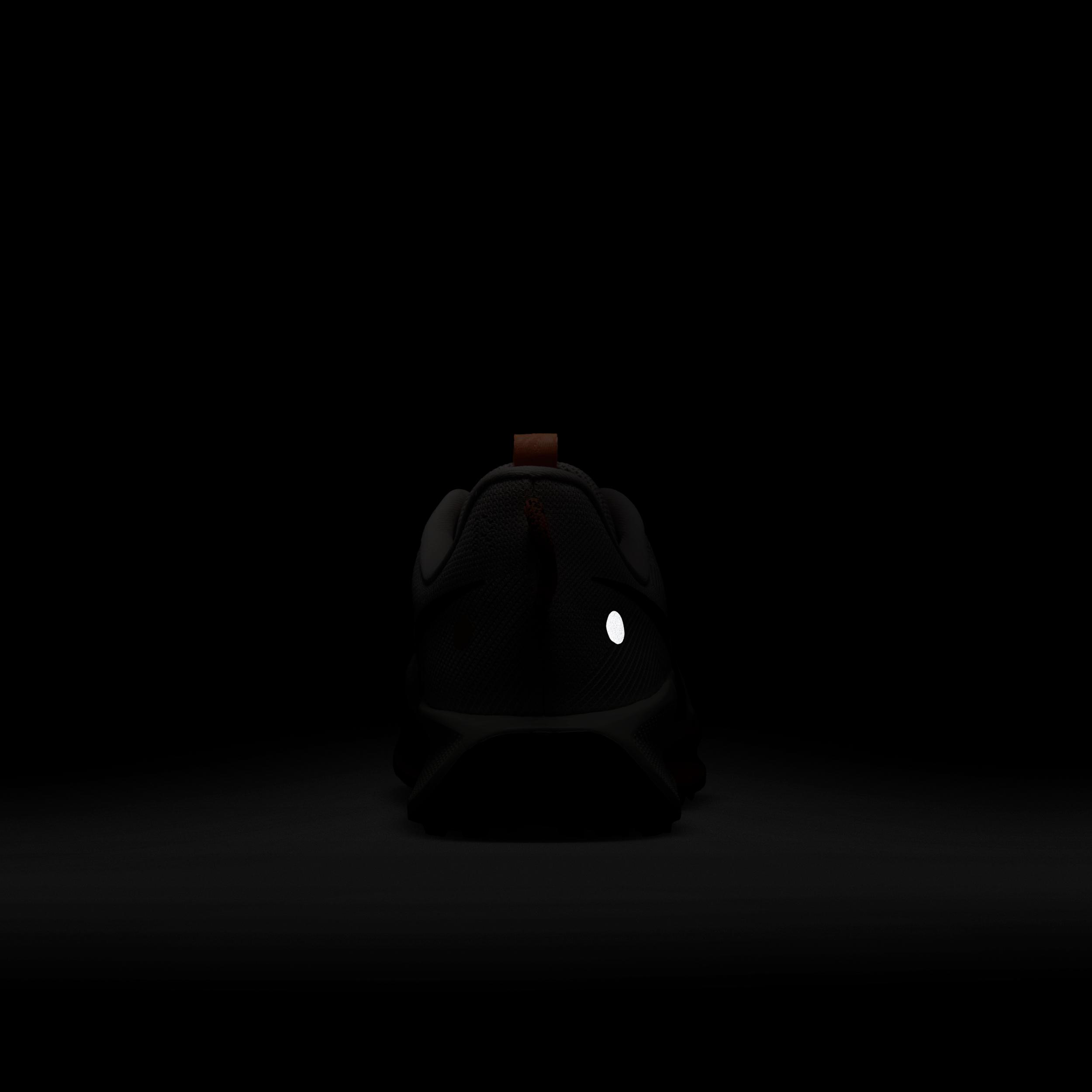 Nike Men's Pegasus Trail 5 Trail Running Shoes Product Image