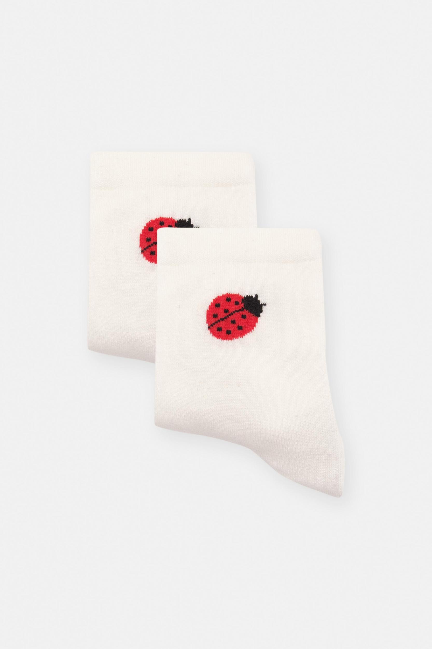 Ladybird socks Product Image