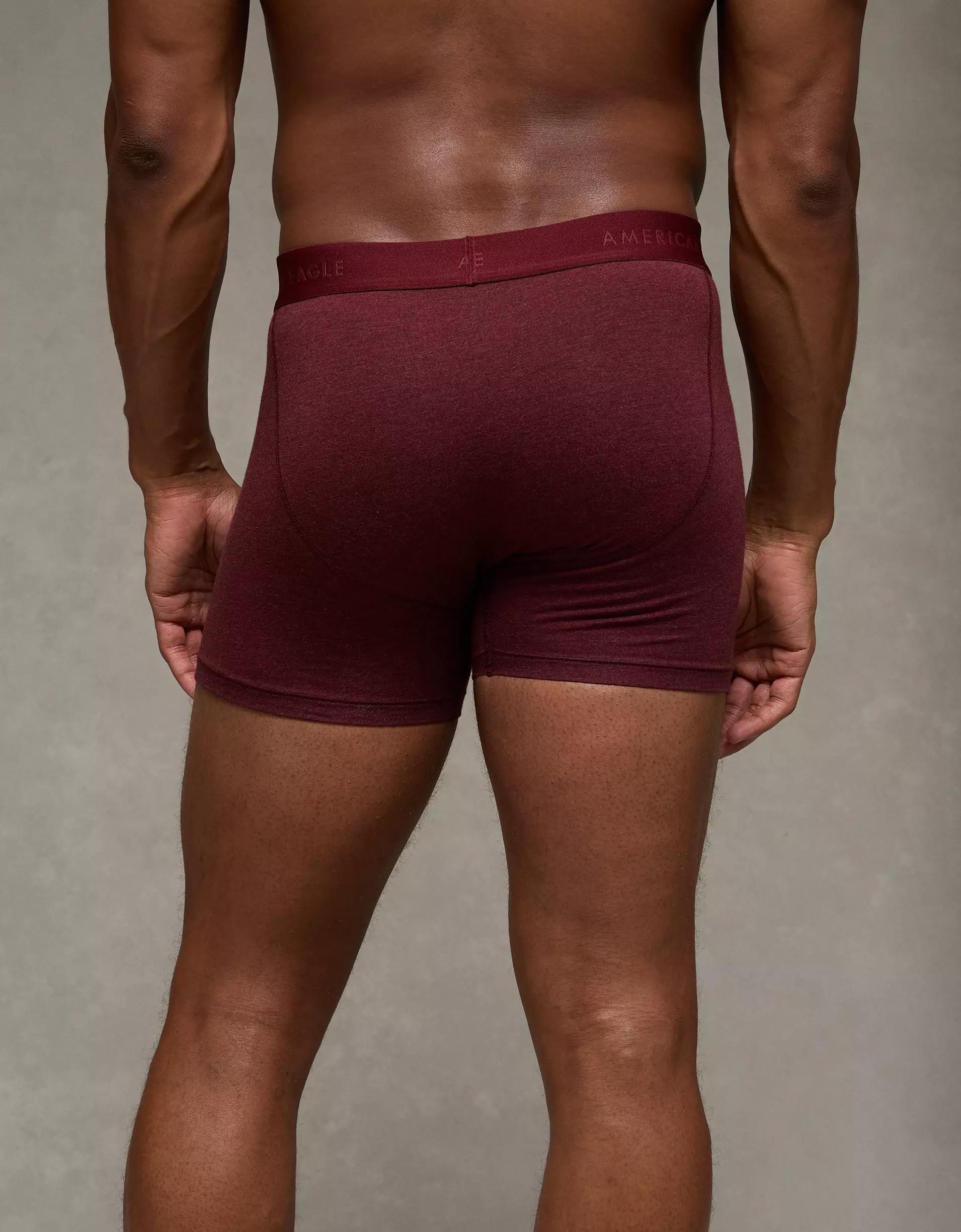 AEO Men's 4.5" Classic Boxer Brief Product Image