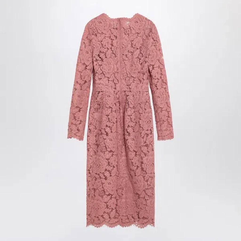 DOLCE & GABBANA Pink Lace Tube Longuette Dress Product Image