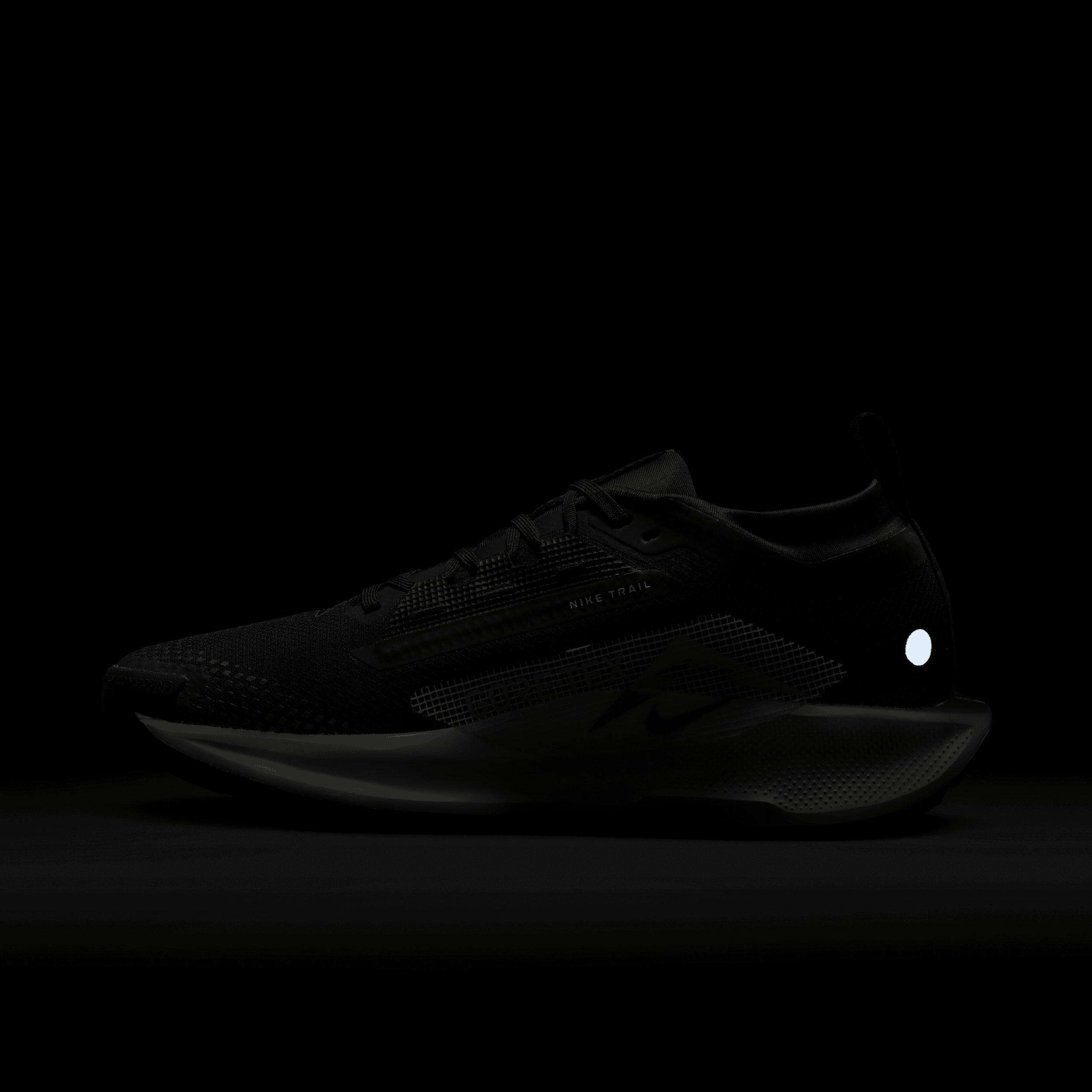 Nike Women's Pegasus Trail 5 GORE-TEX Waterproof Trail Running Shoes Product Image